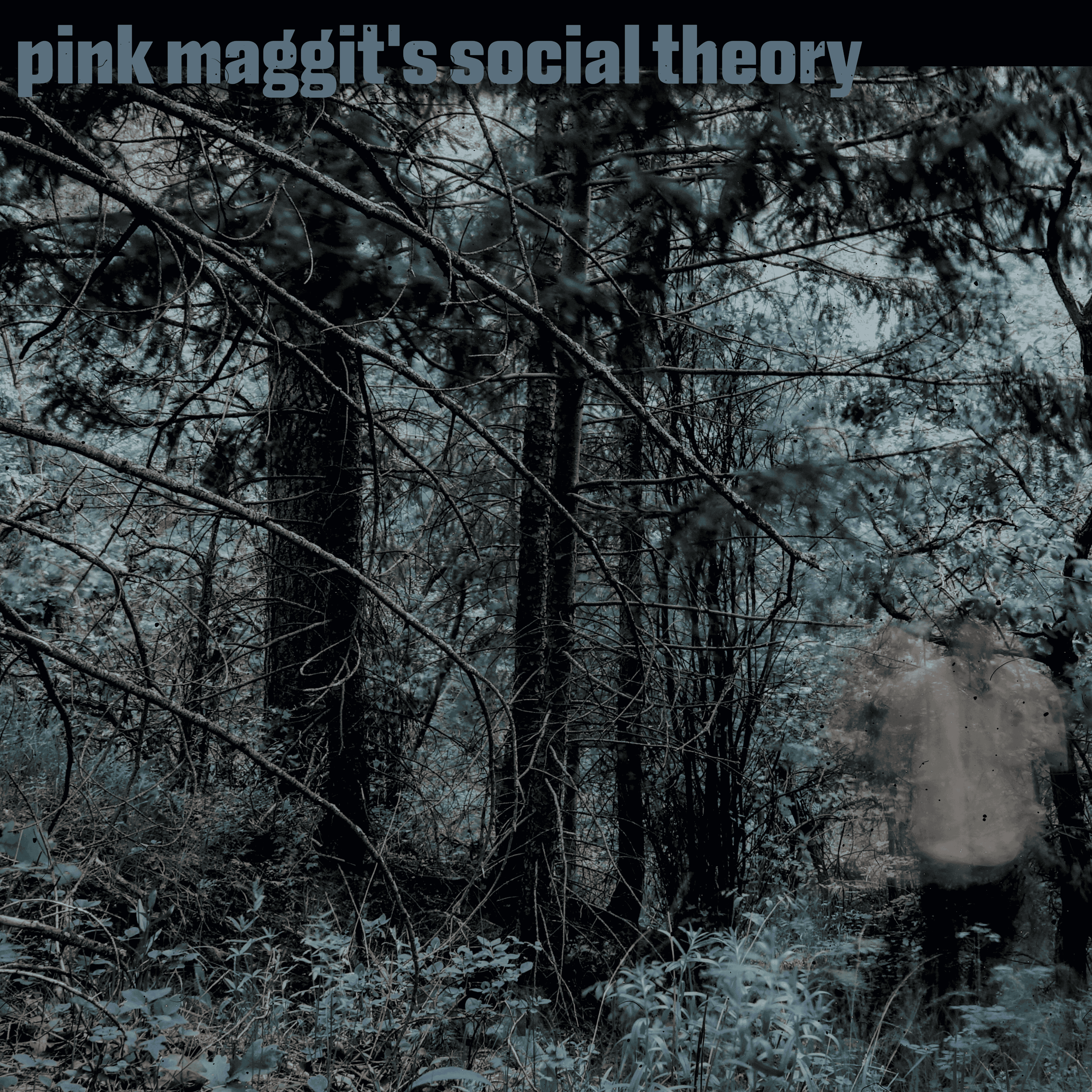 pink maggit - social theory