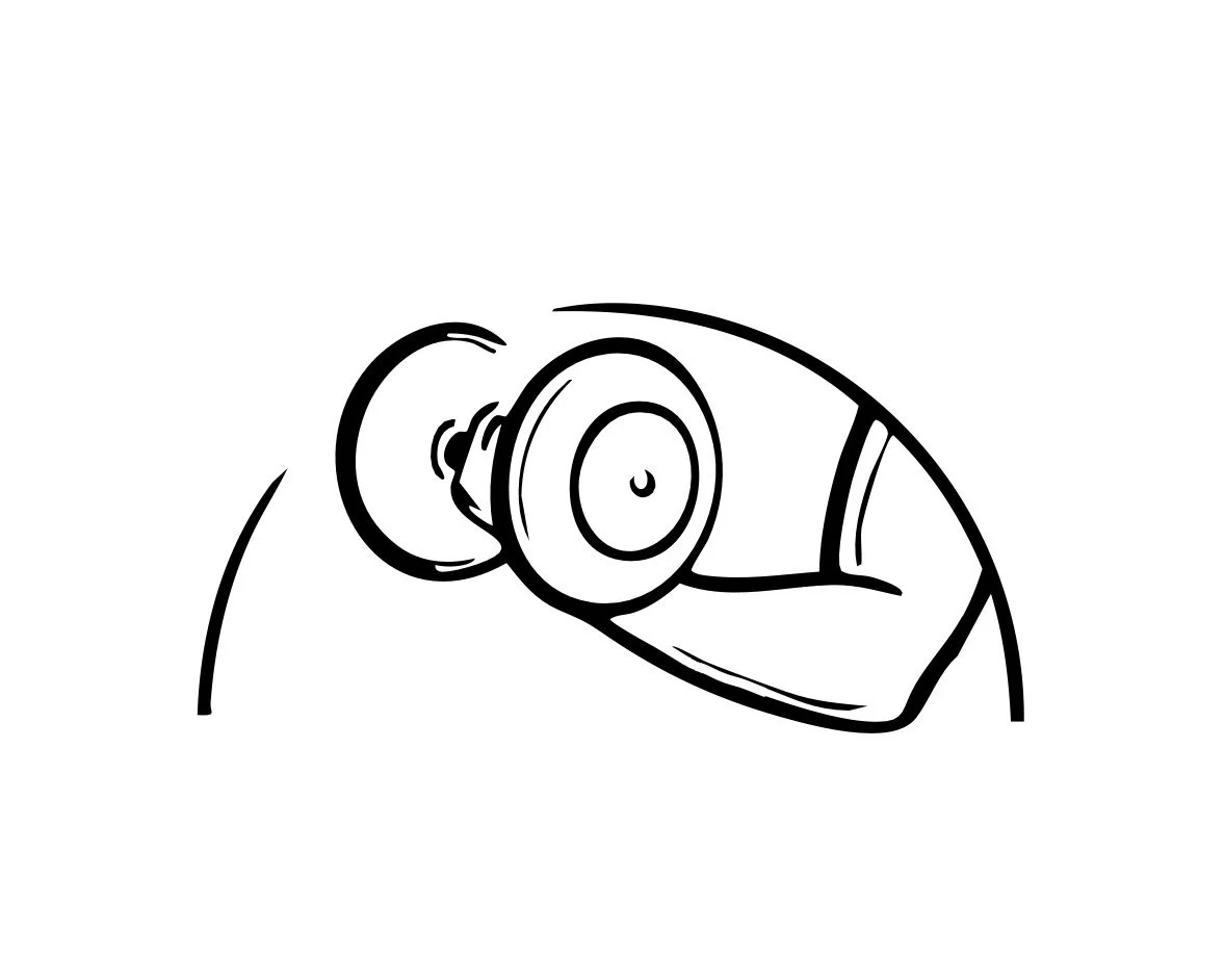 Monthly Subscription – Two Sessions Per Week