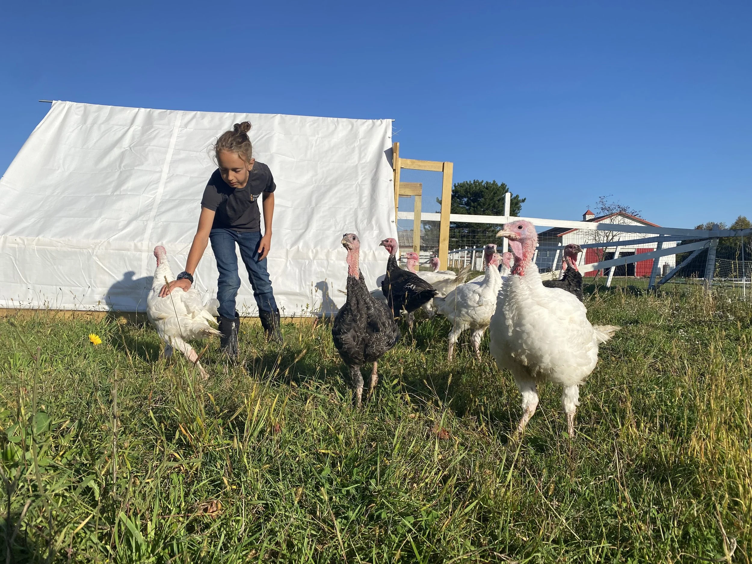 Farm School Thursday Morning
