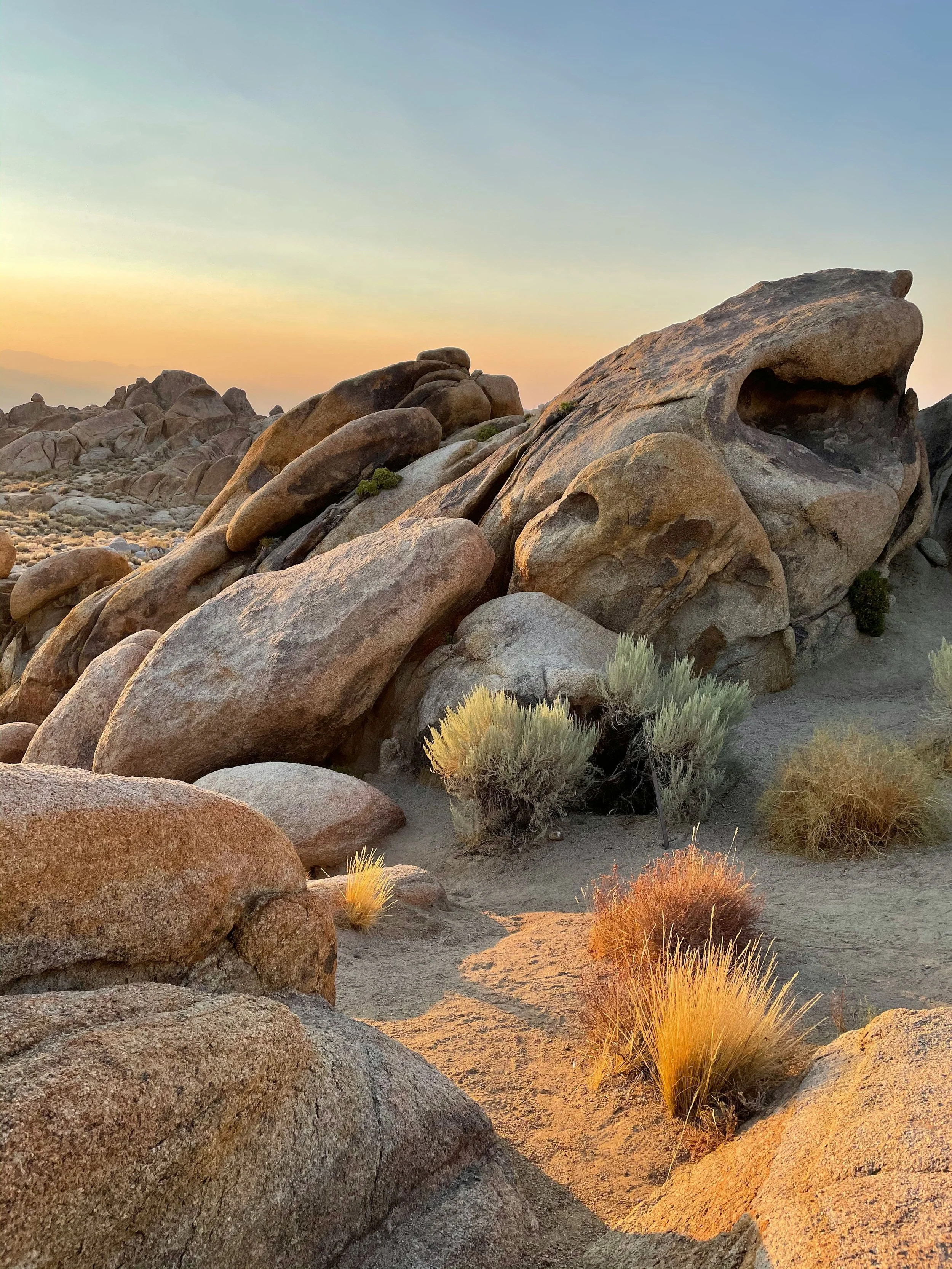 A desert landscape at sunset with large rounded rocks and dry desert plants.