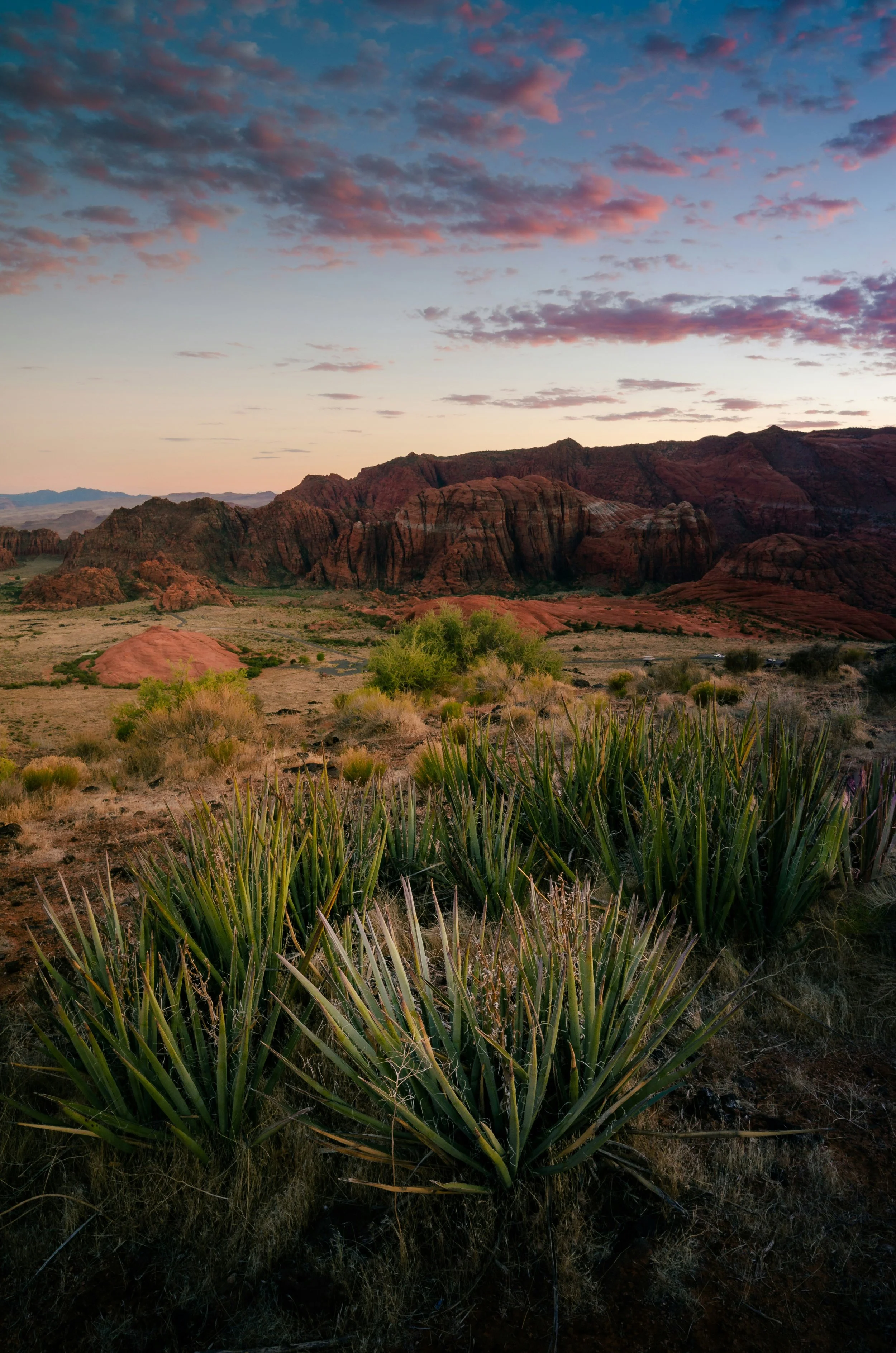 Desert landscape at sunset with red rock formations, green shrubs, and cacti under a partly cloudy sky