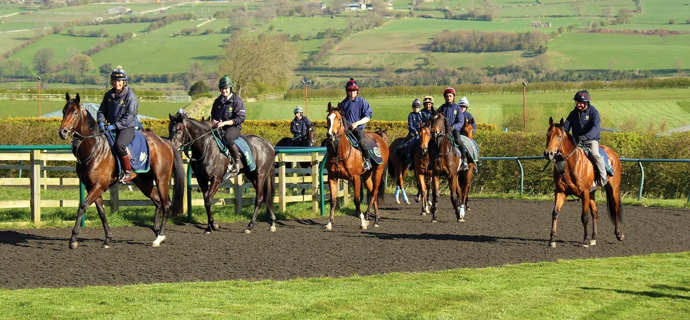 Middleham Racing Heritage Tours