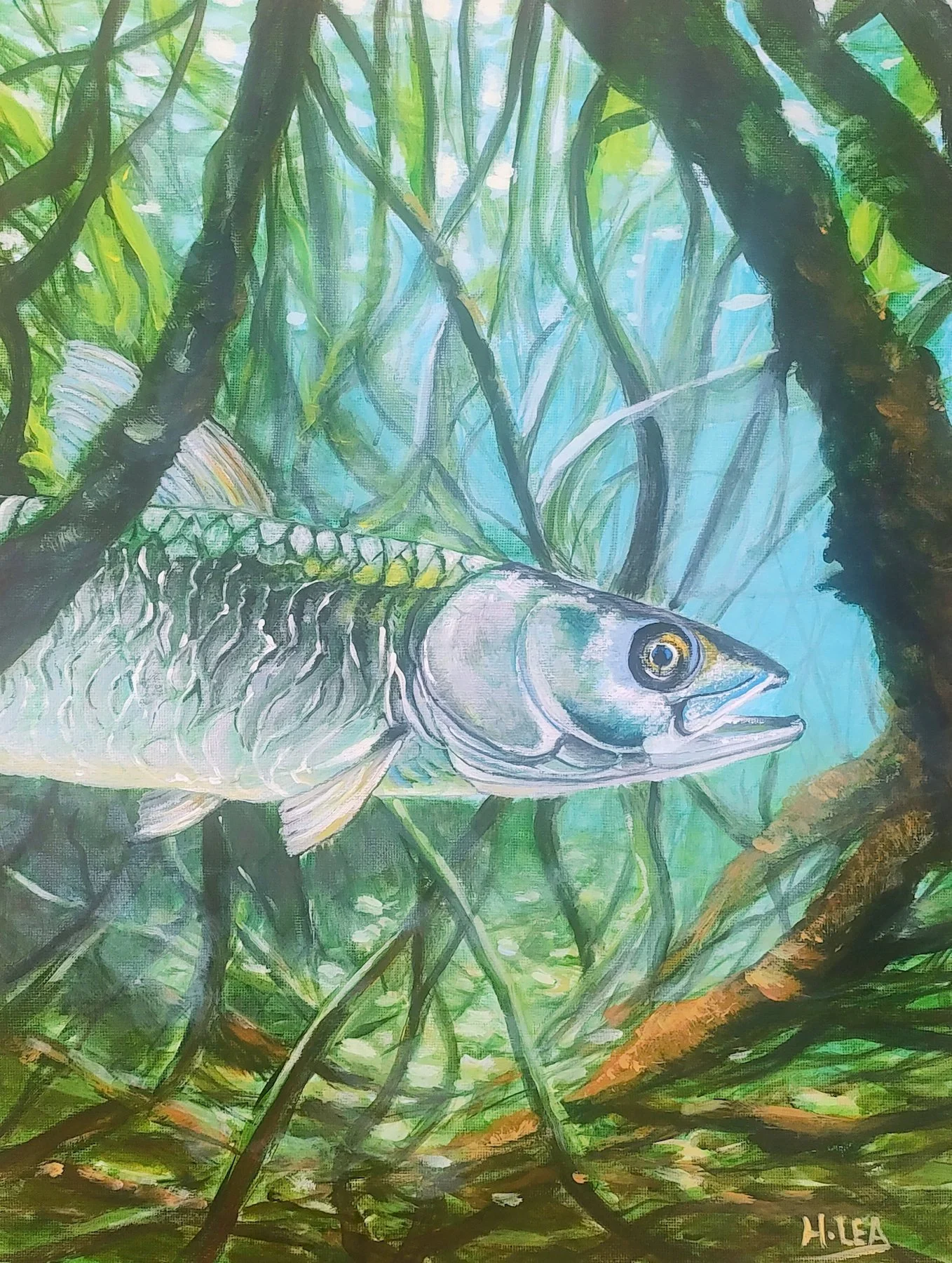 Hidden Waters