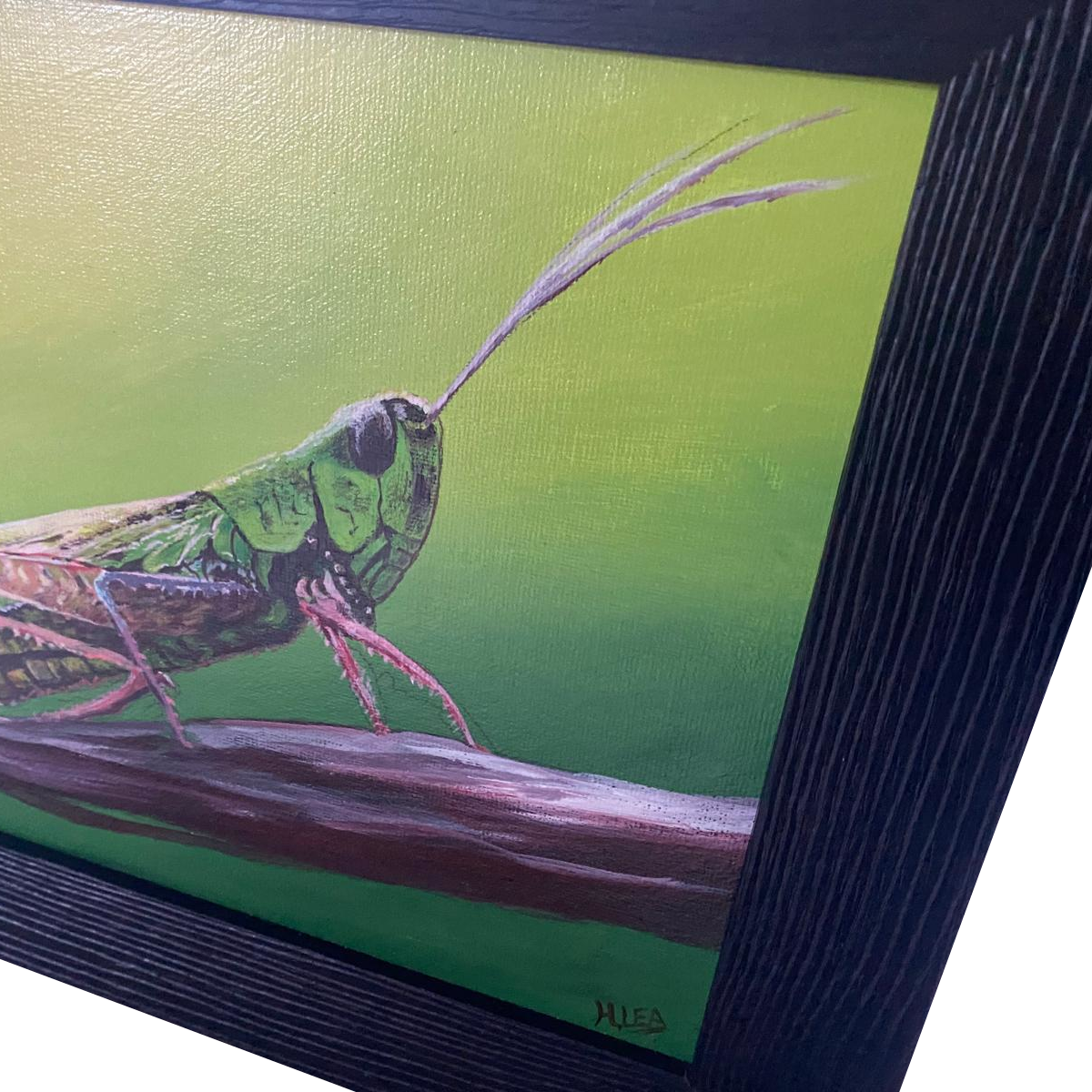 Watchful Grasshopper-surface.png