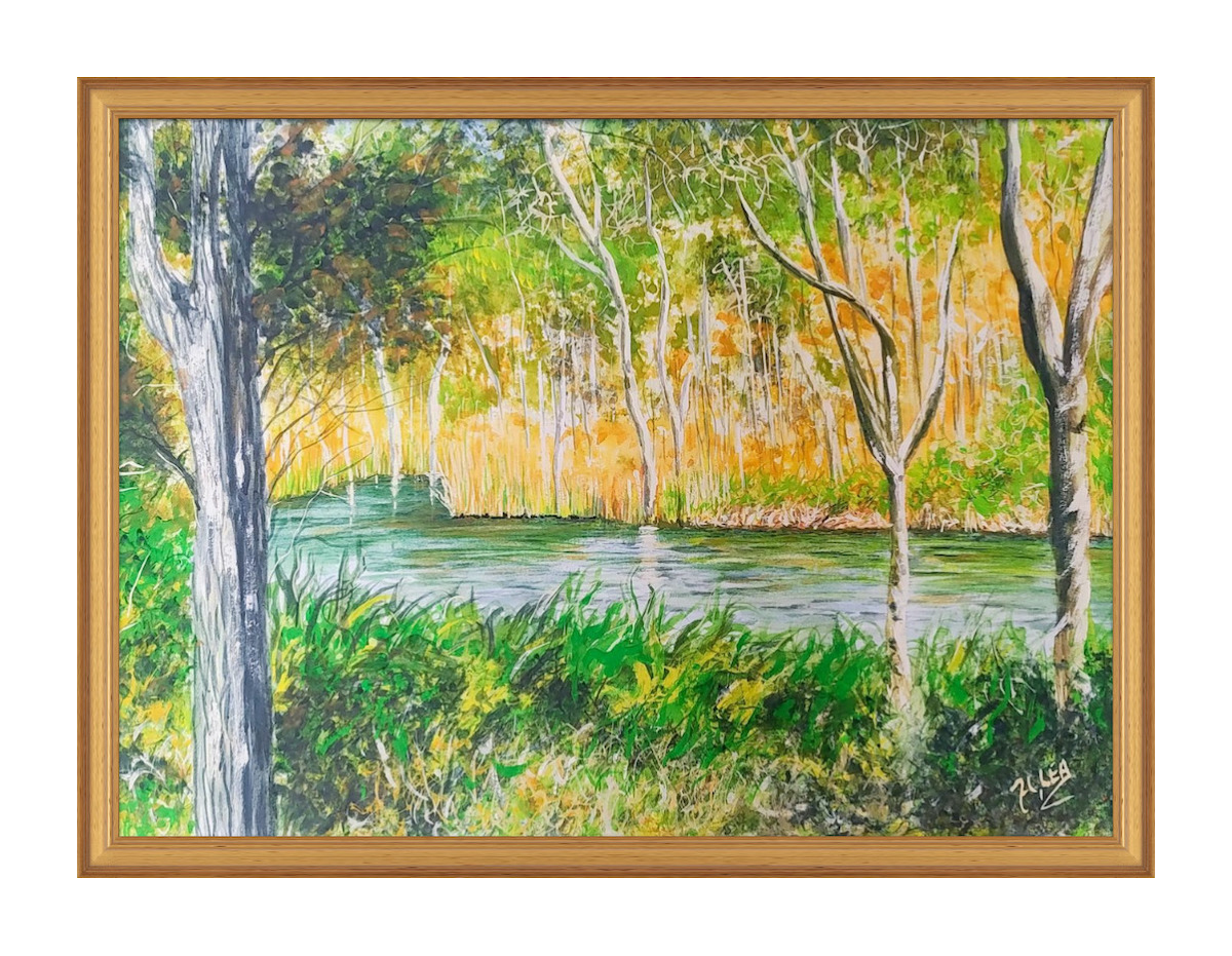 Cool Waters in the Scrub-framed.png