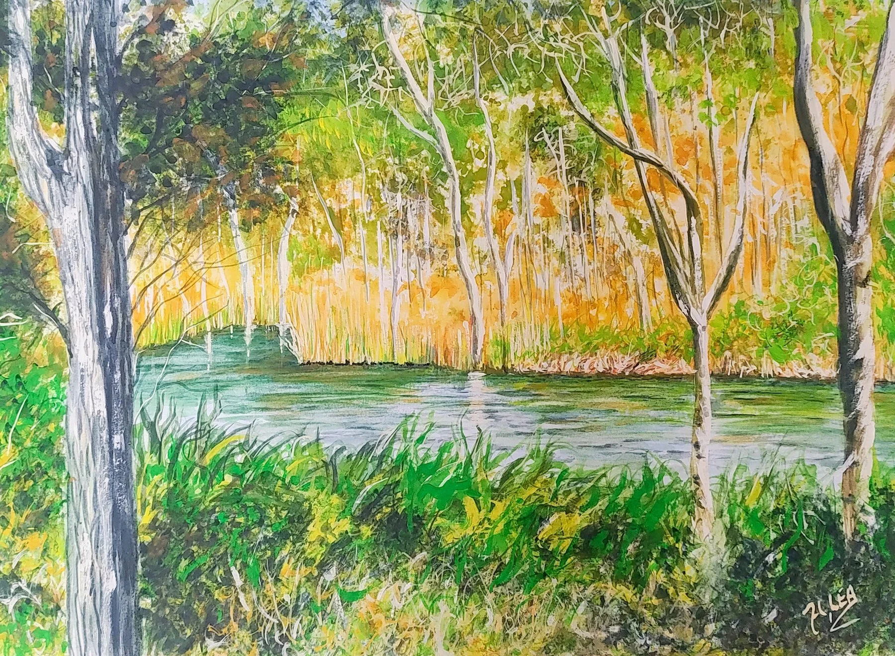 Cool Waters in the Scrub.jpg