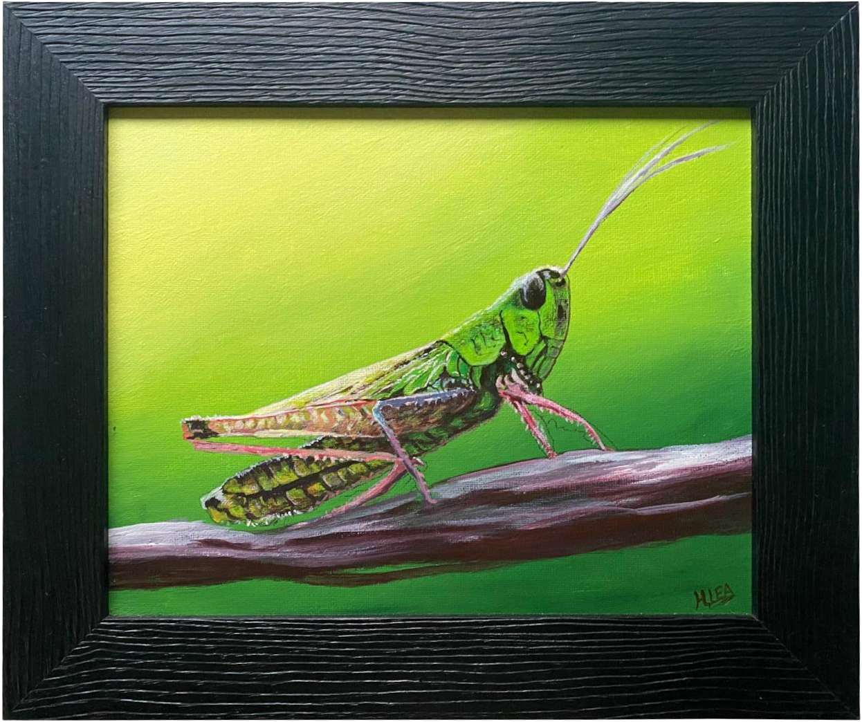 Watchful Grasshopper-framed.png