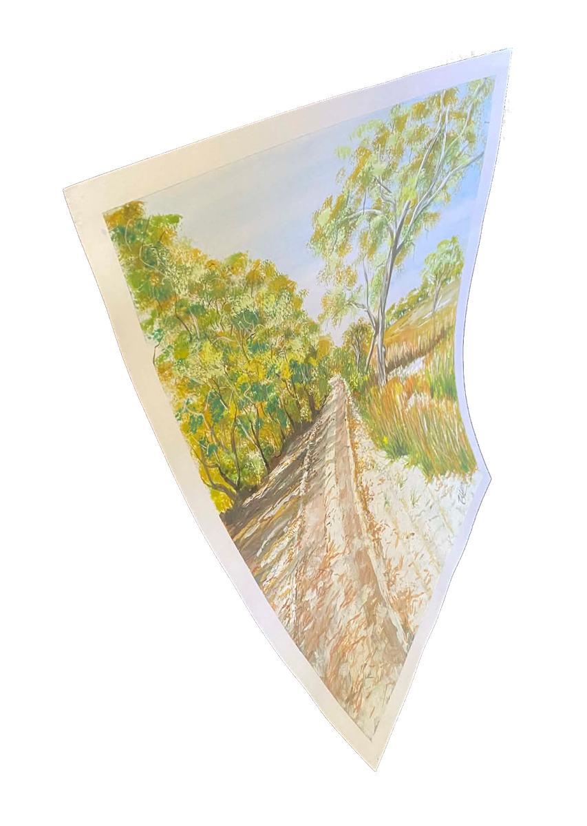 A Track on Frazer Island-side.png