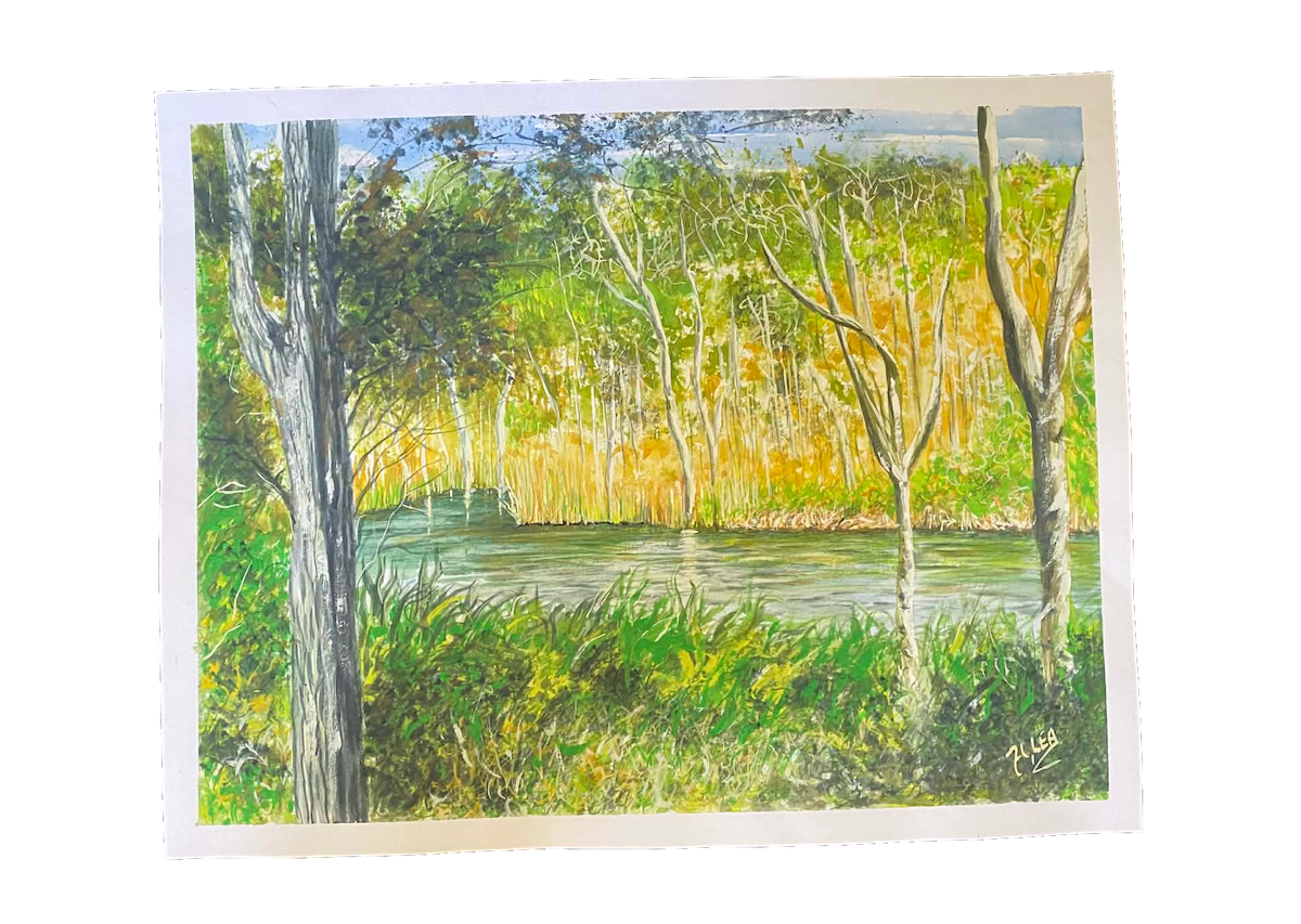 Cool Waters in the Scrub-front.png