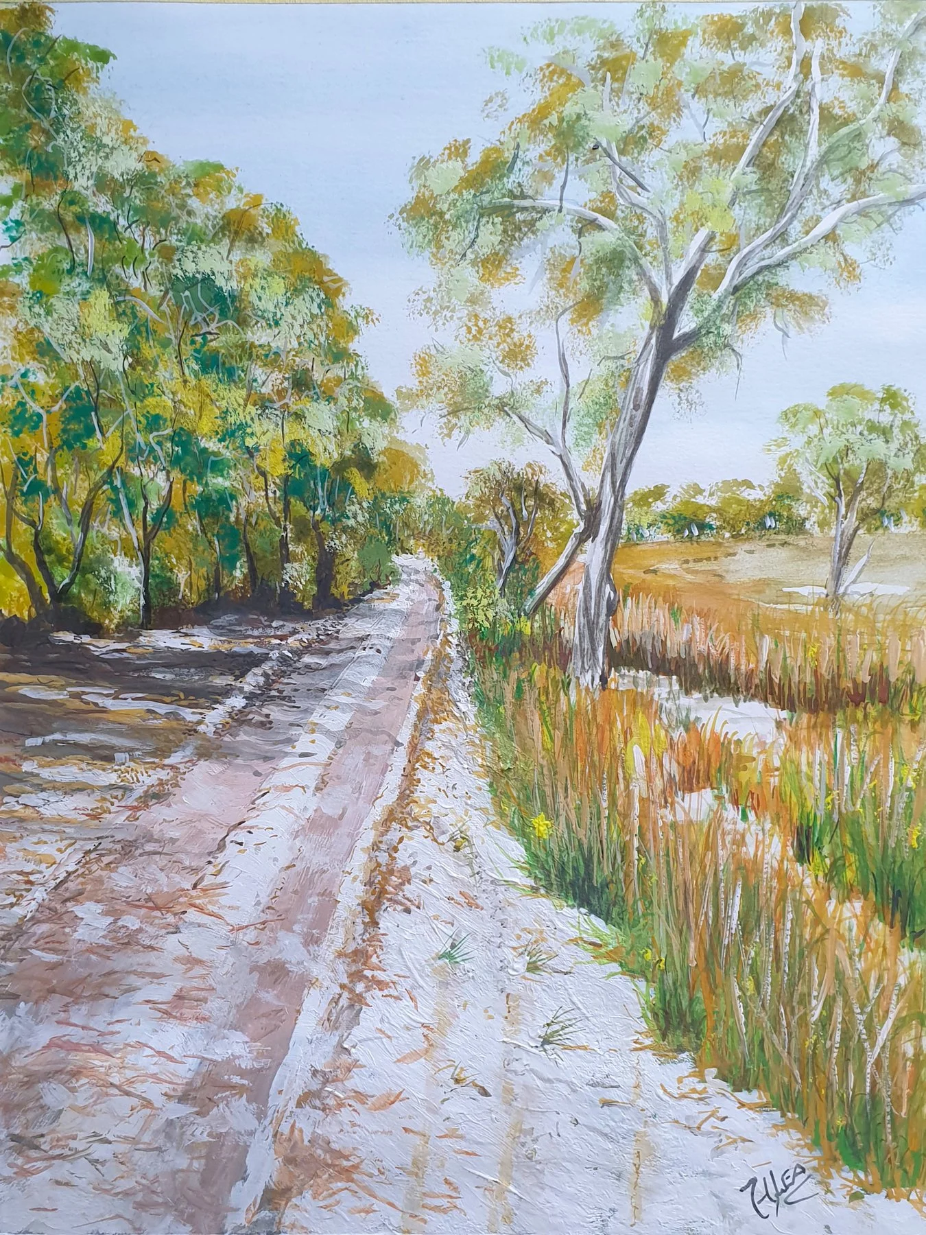 A Track on Frazer Island.jpg