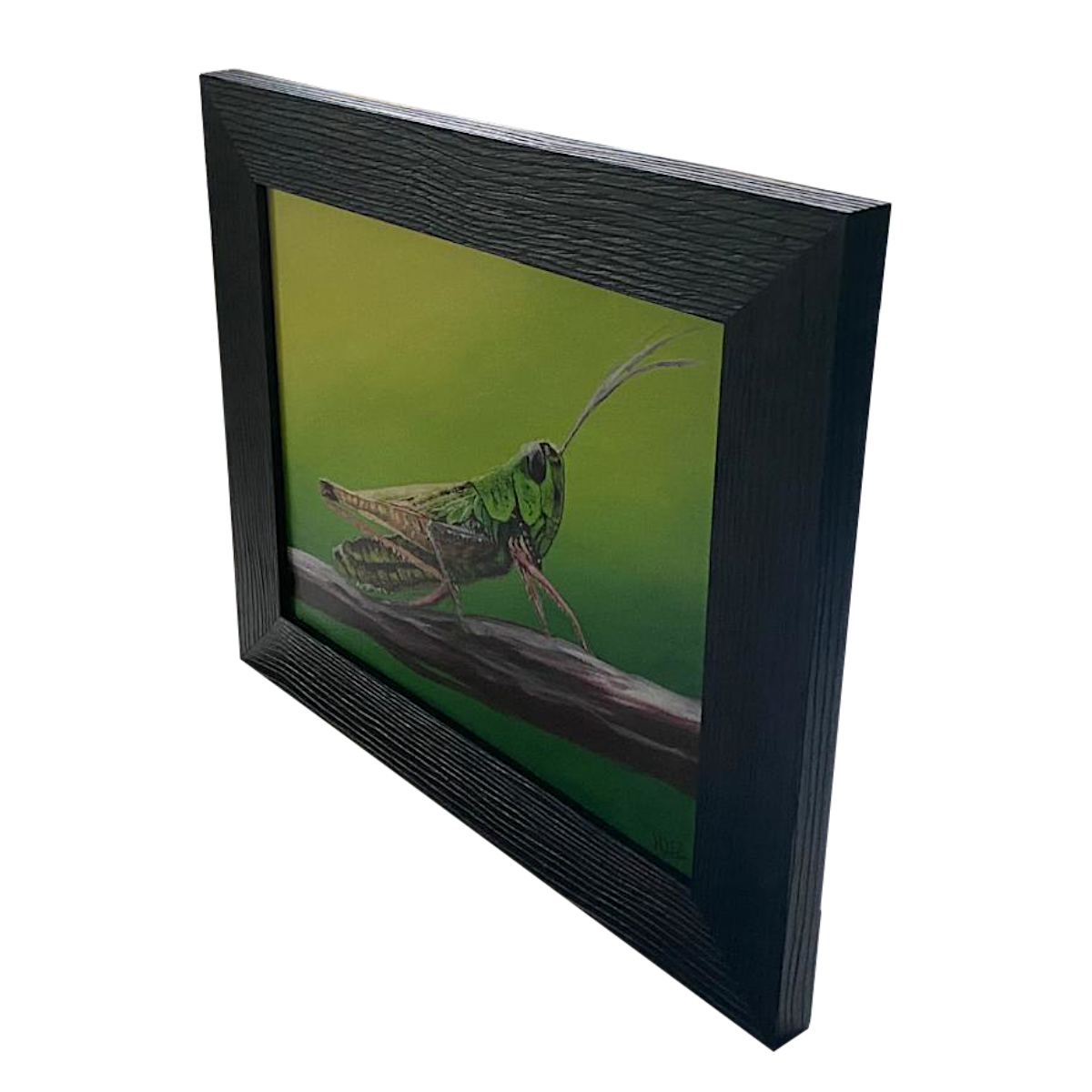 Watchful Grasshopper-edge.png