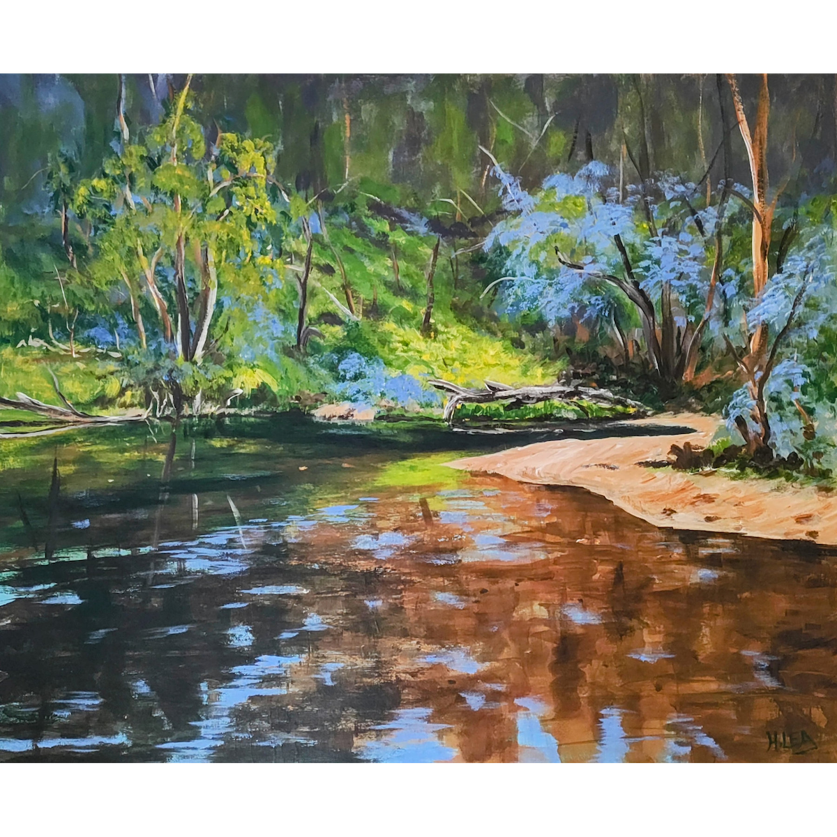 Nature's Quiet Reflections