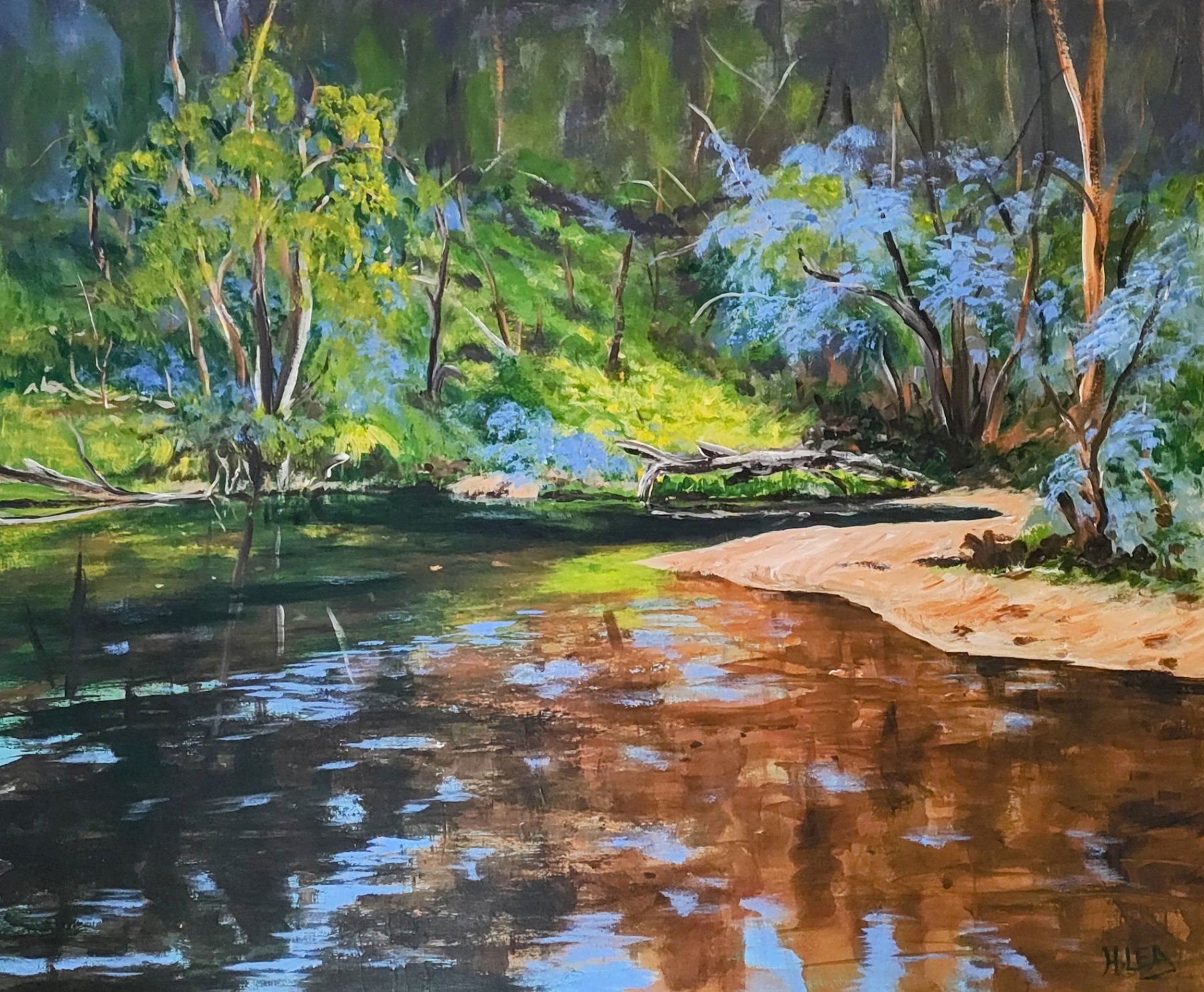 Nature's Quiet Reflections.jpg