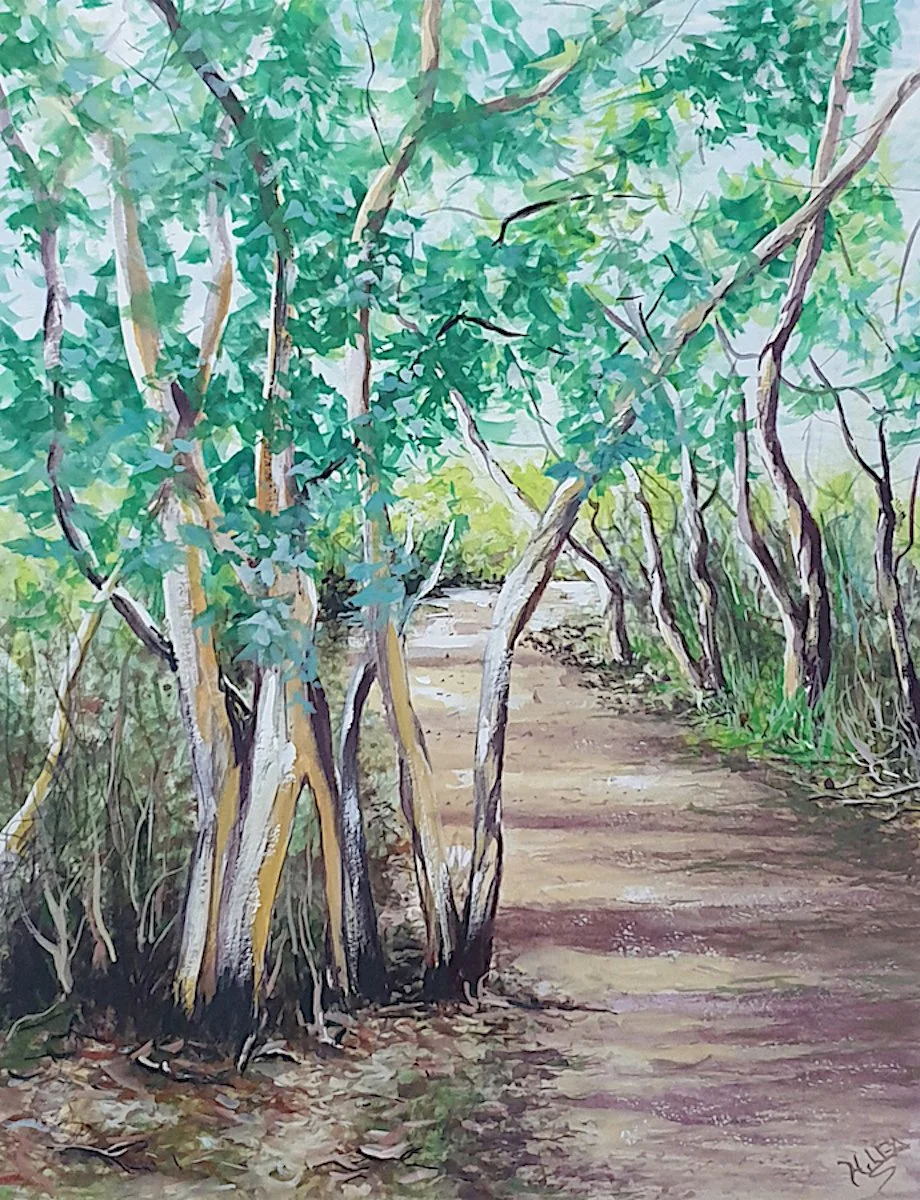 Tasmanian Bush Track.jpg