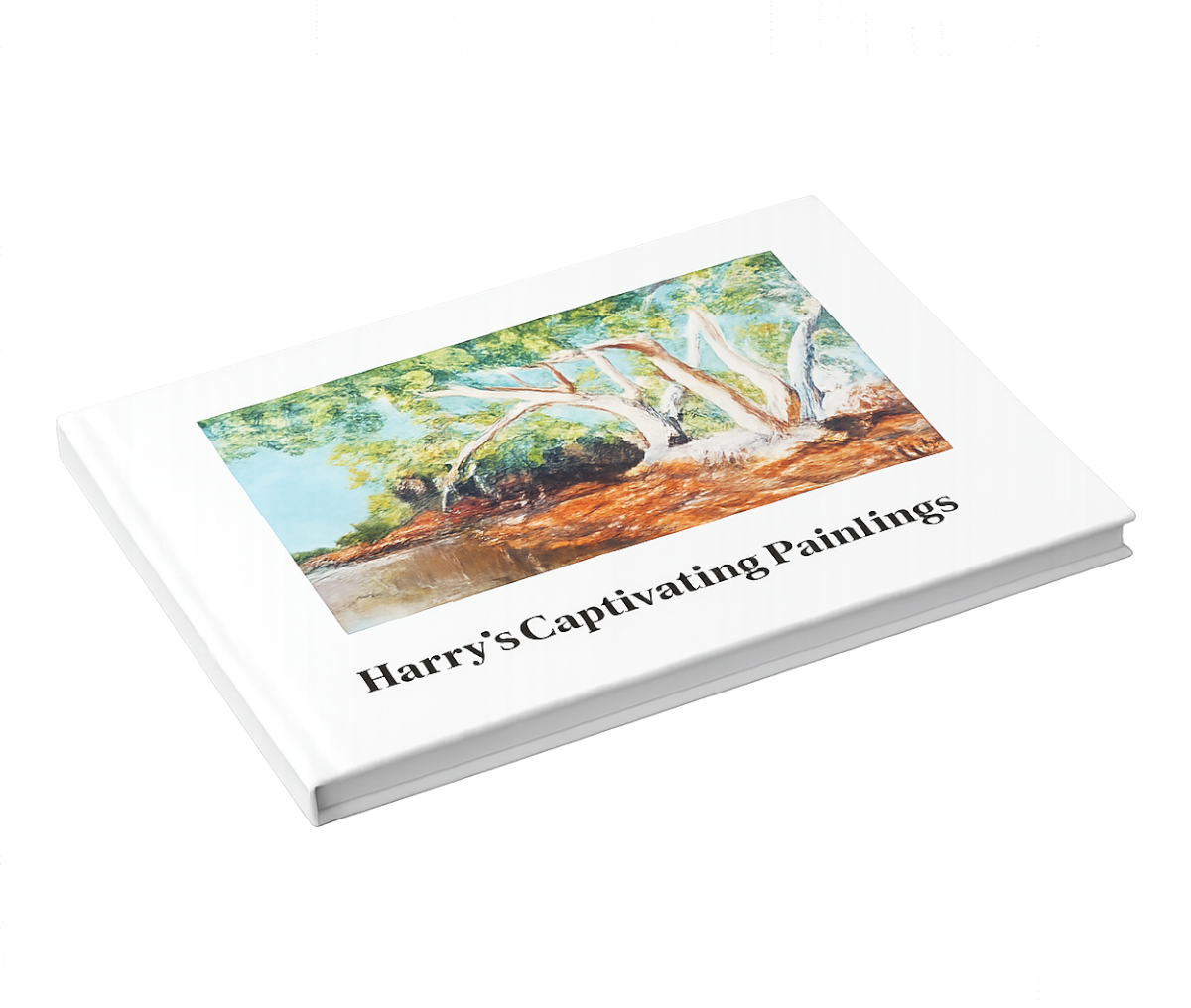 Harry's Captivating Paintings-front.png