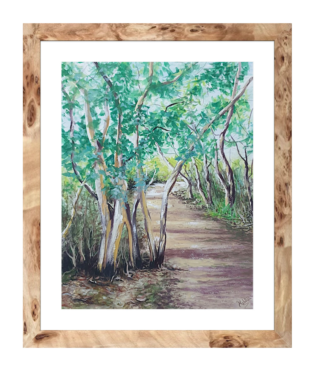 Tasmanian Bush Track-framed.png