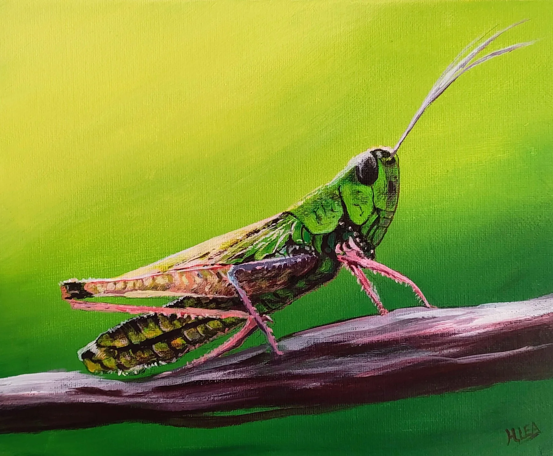 Watchful Grasshopper.jpg