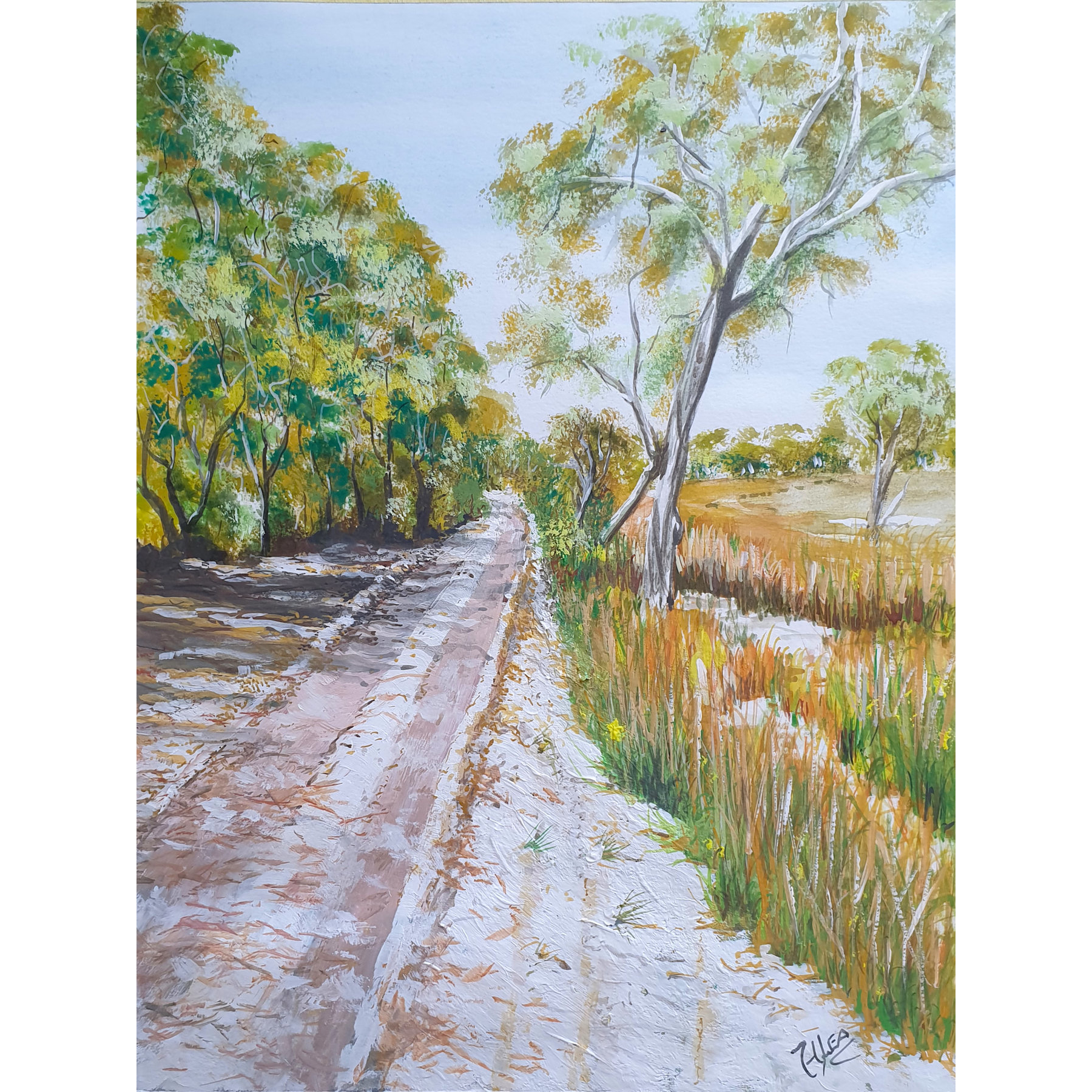 A Track on Frazer Island