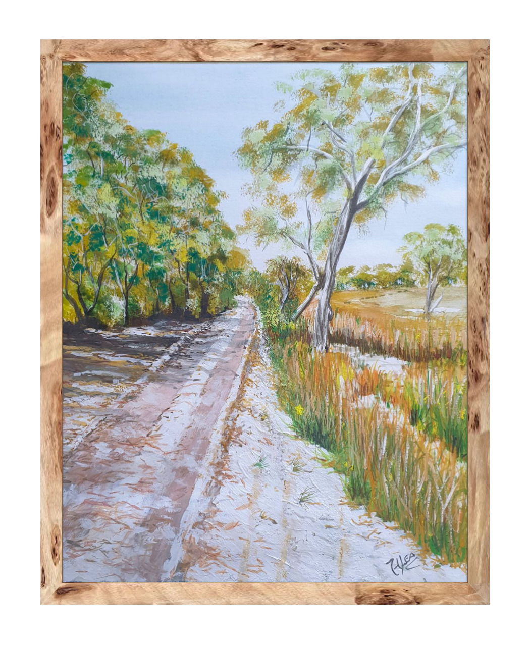 A Track on Frazer Island-framed.png