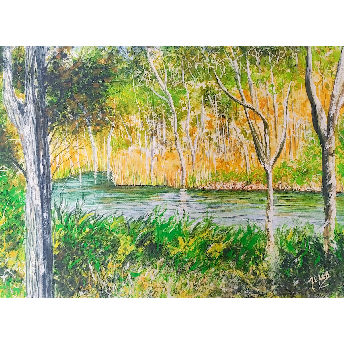 Cool Waters in the Scrub