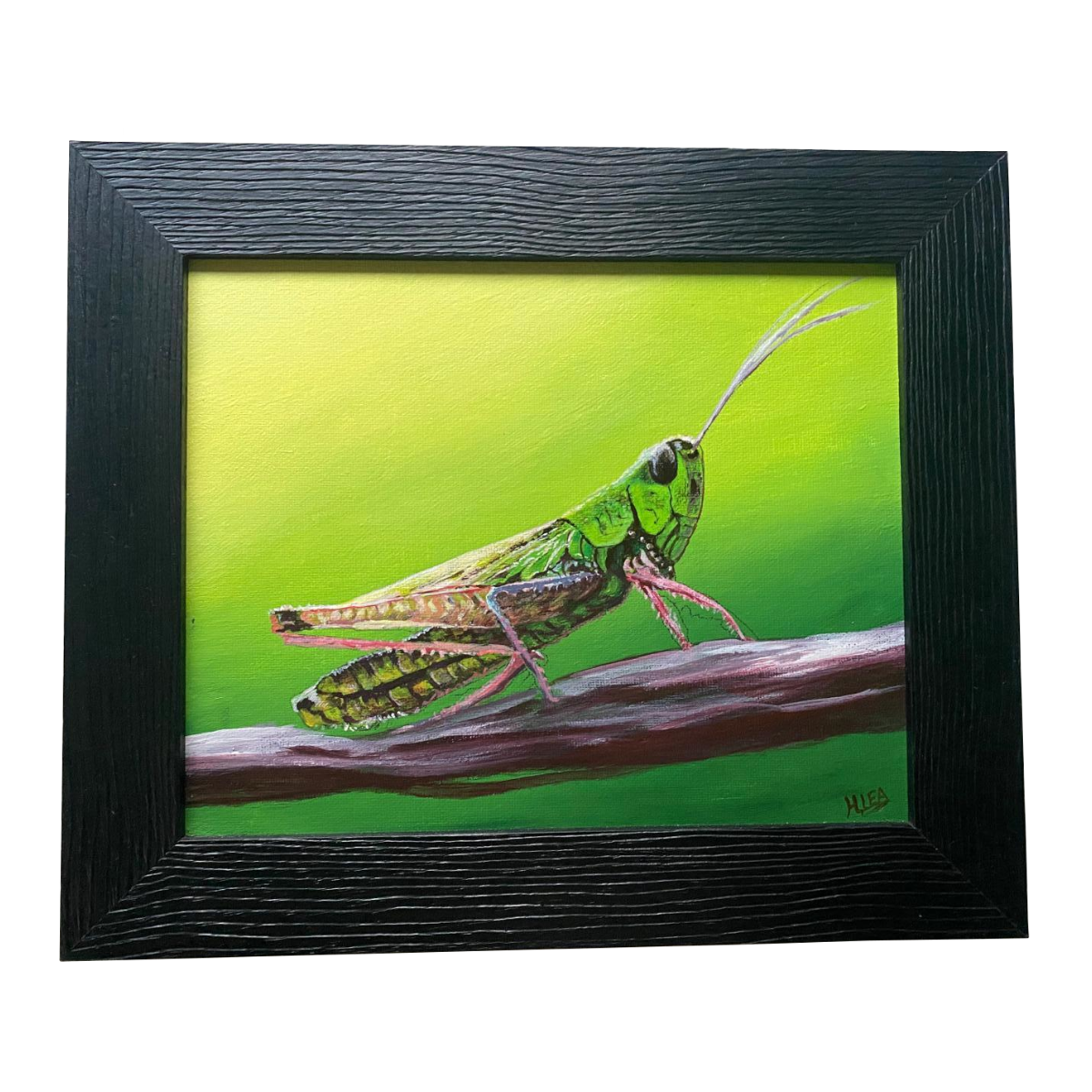 Watchful Grasshopper-front.png