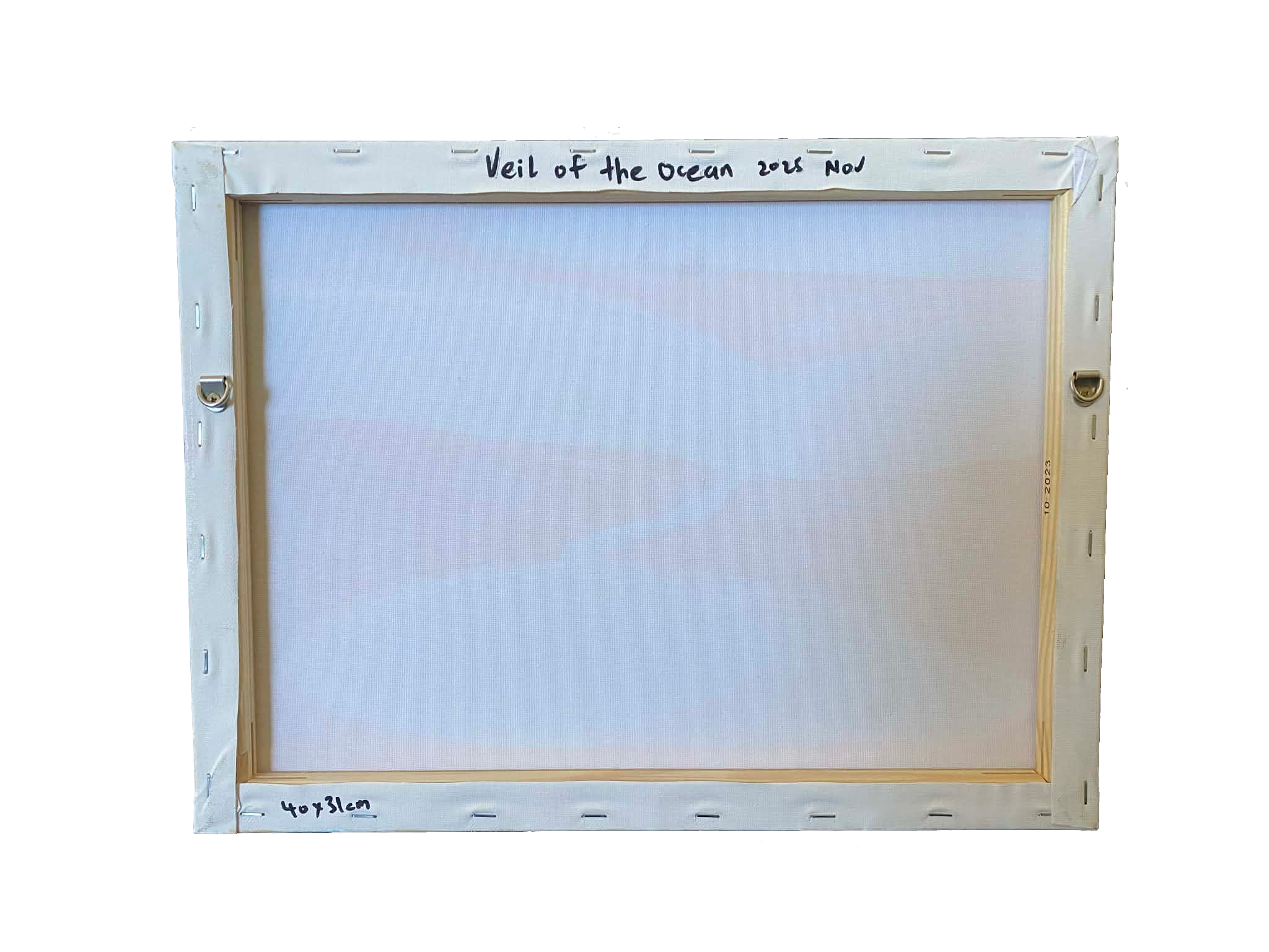 Veil of the Ocean-back.png