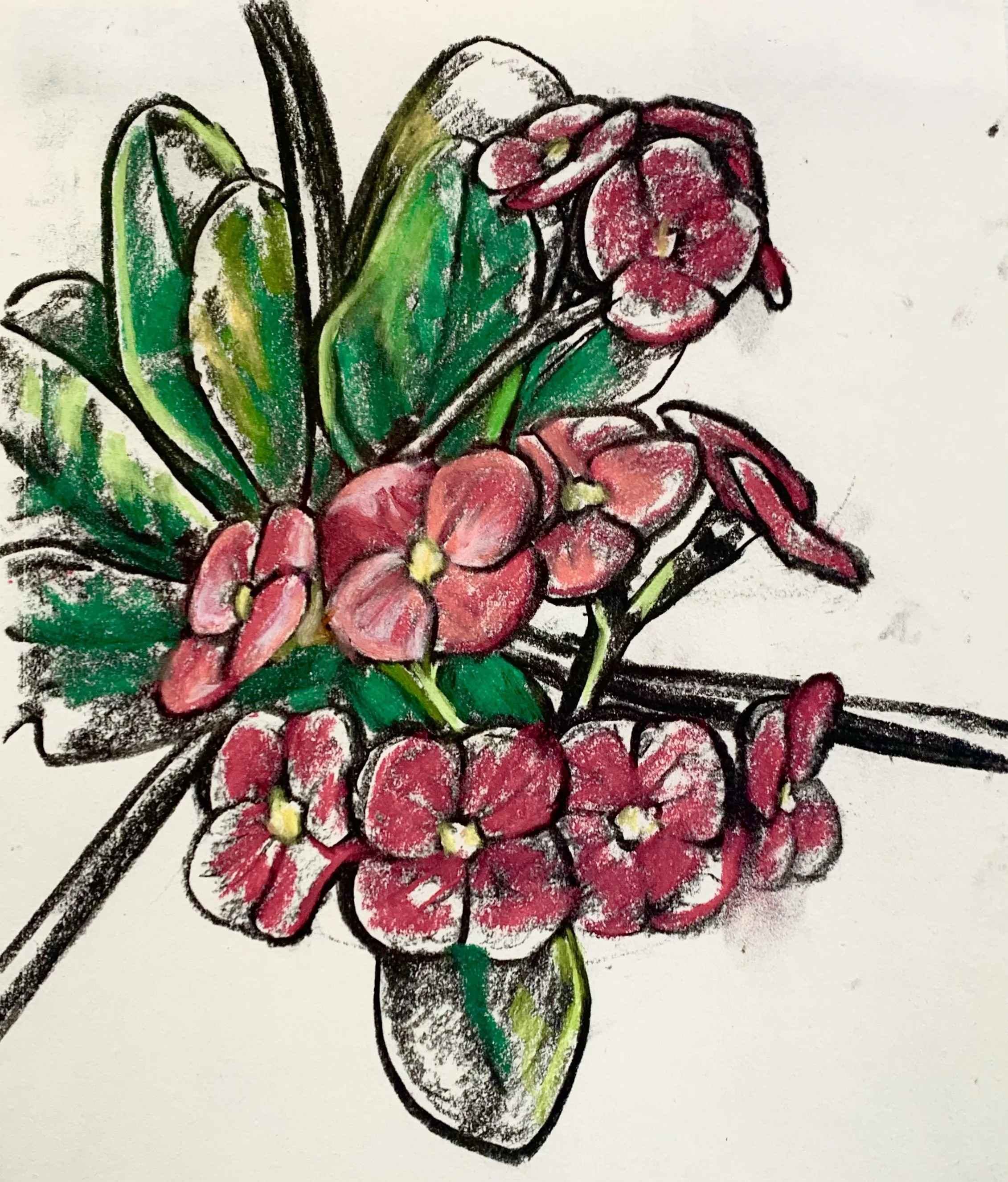 Untitled, 2026, charcoal, conte, and chalk pastel on paper