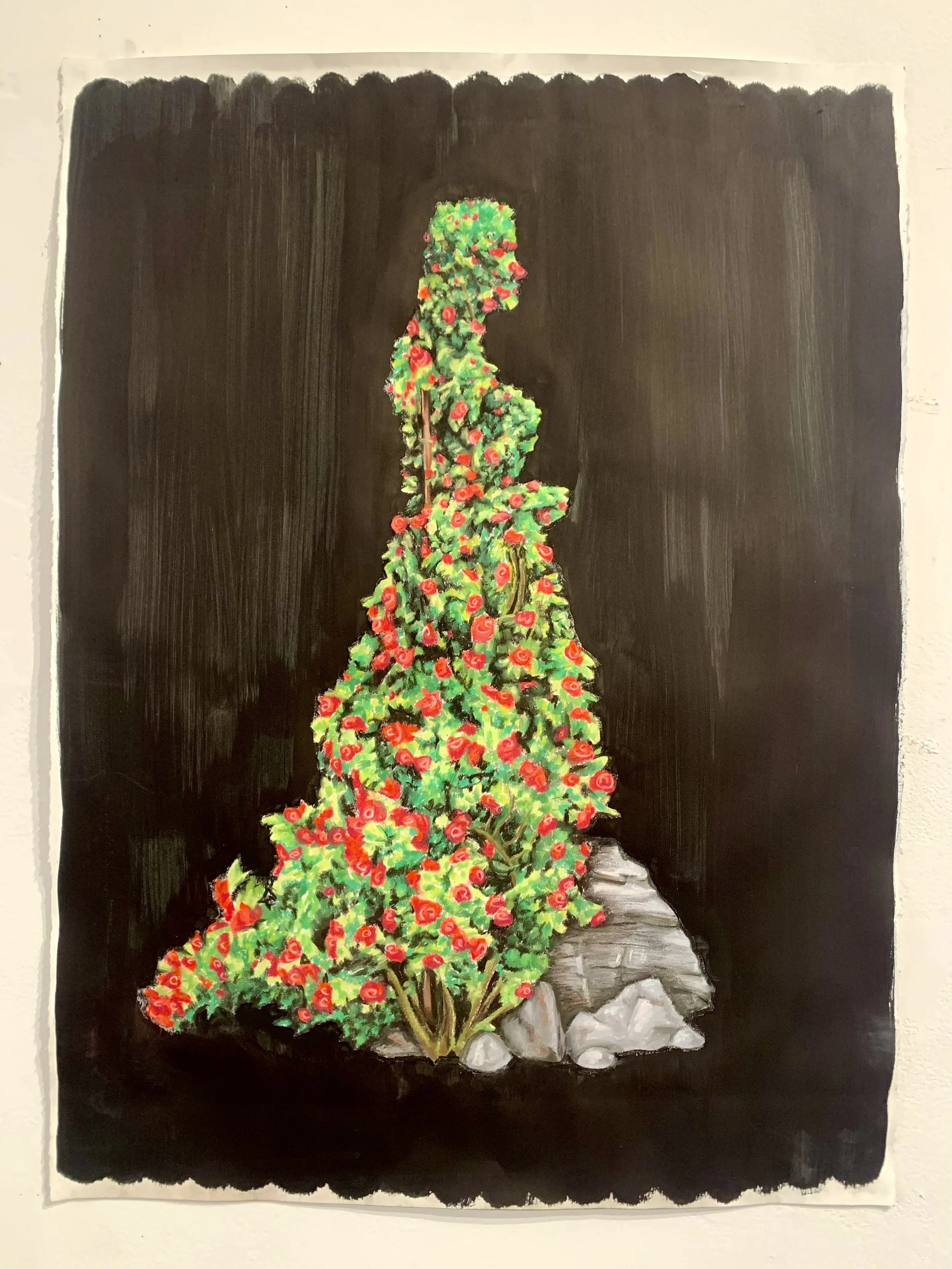 Untitled, 2026, charcoal, conte, and gouache on paper: For my personal project, I chose to merge my self portrait with plants by building my silhouette out of a rose bush. I decided on the rose, despite it being considered cliche, because of it’s per