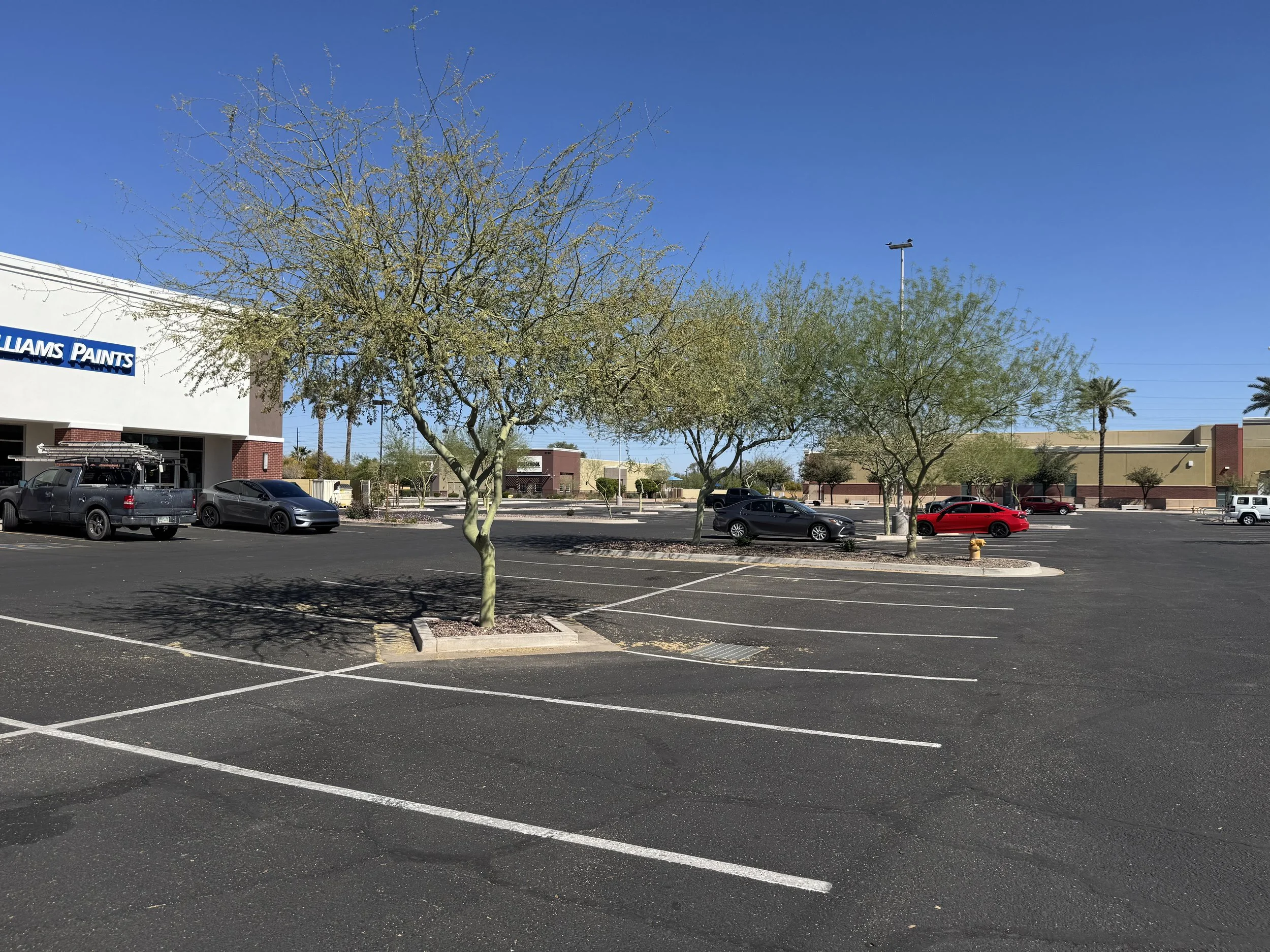 Photo Mar 03 2026, 1 42 52 PM.jpg