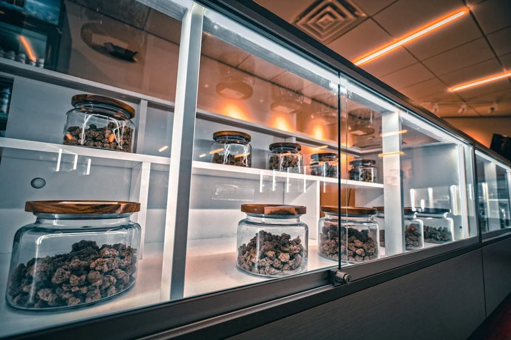 Display case with glass jars filled with cannabis buds, lined up on shelves with glass doors.