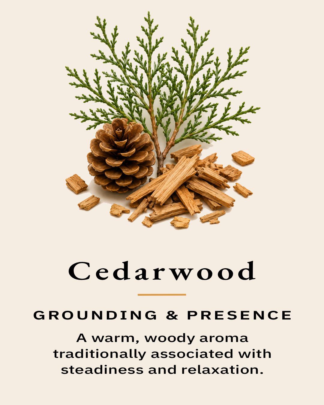 Cedarwood branches, pine cone and cedar shavings representing one of the essential oils used in the TimberLight Glow aromatherapy candle collection.