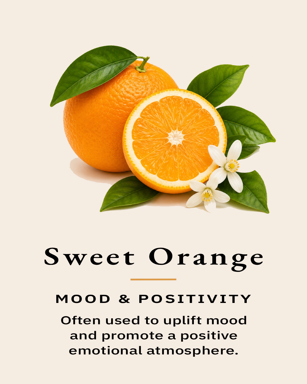 Fresh sweet orange with leaves representing one of the essential oils used in the TimberLight Glow aromatherapy candle collection.