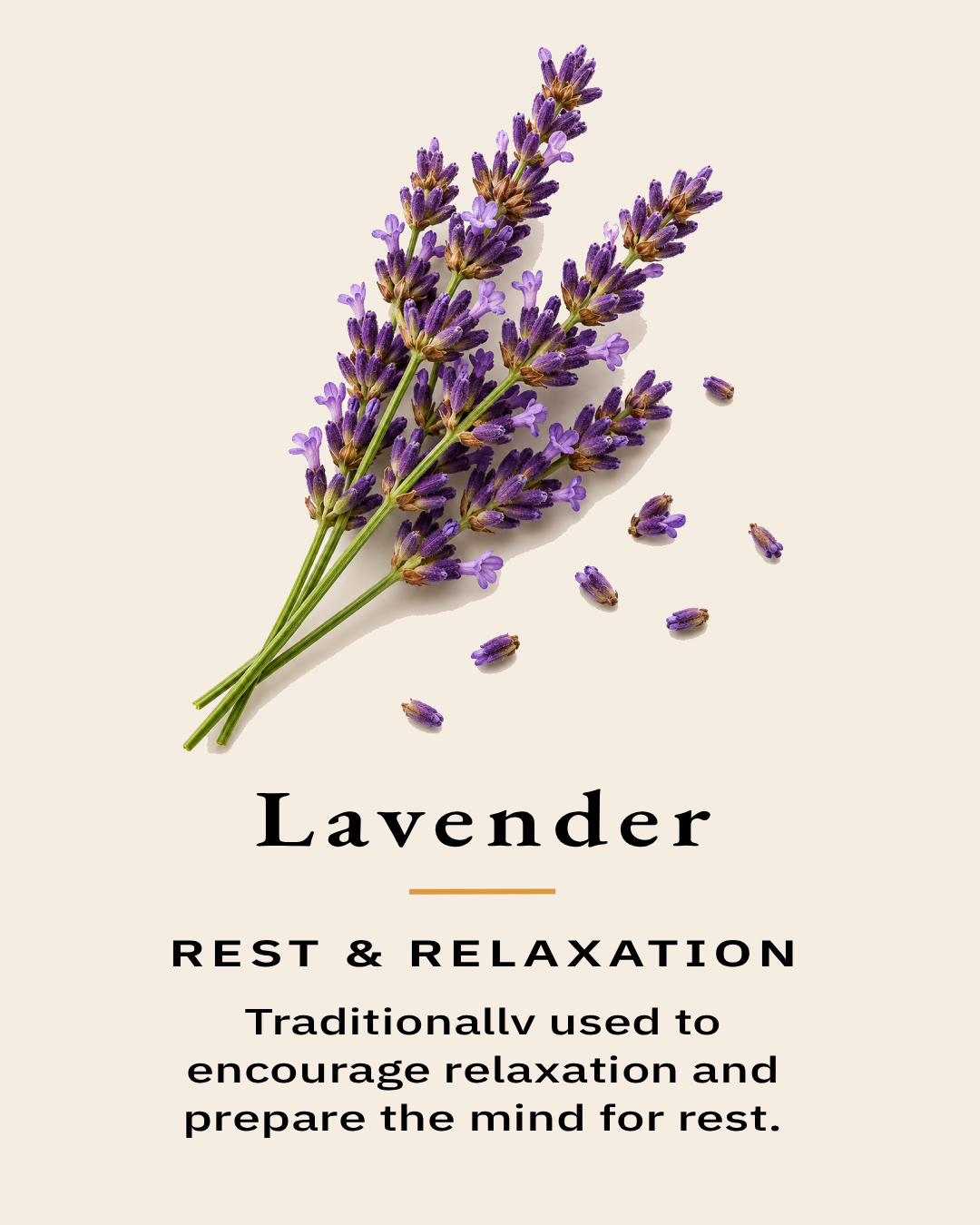 Lavender flowers representing one of the essential oils used in the TimberLight Glow aromatherapy candle collection.