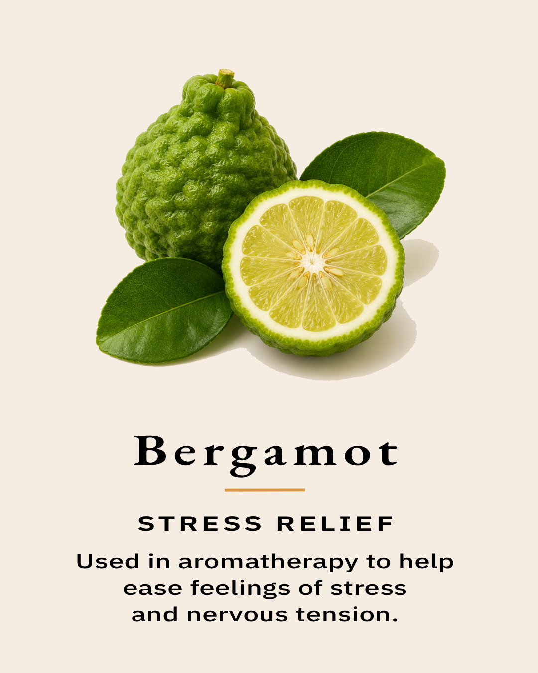 Fresh bergamot fruit representing one of the essential oils used in the TimberLight Glow aromatherapy candle collection.