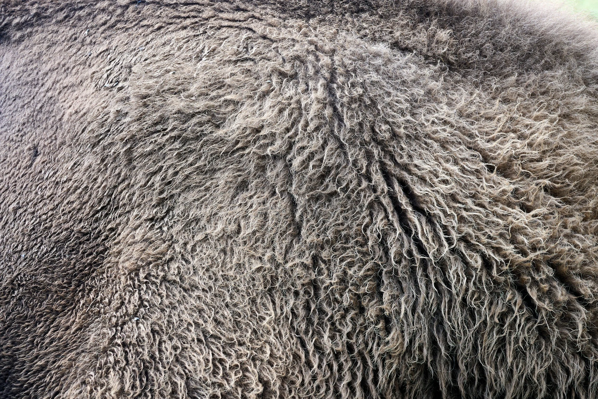 Needle felting is a craft that uses specialty designed needles to sculp wool into shapes and designs.