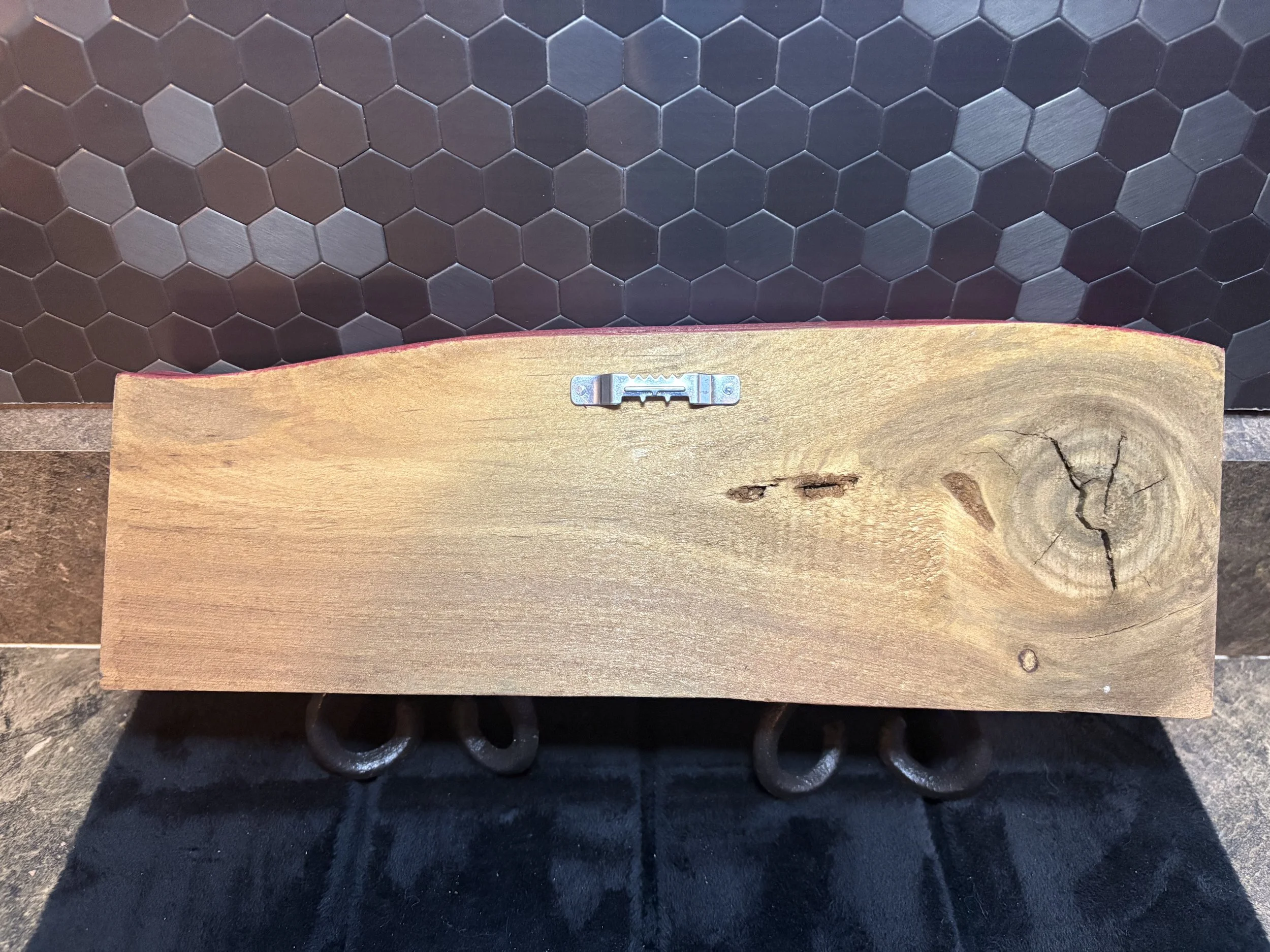 dragon fly back 2-2.jpeg