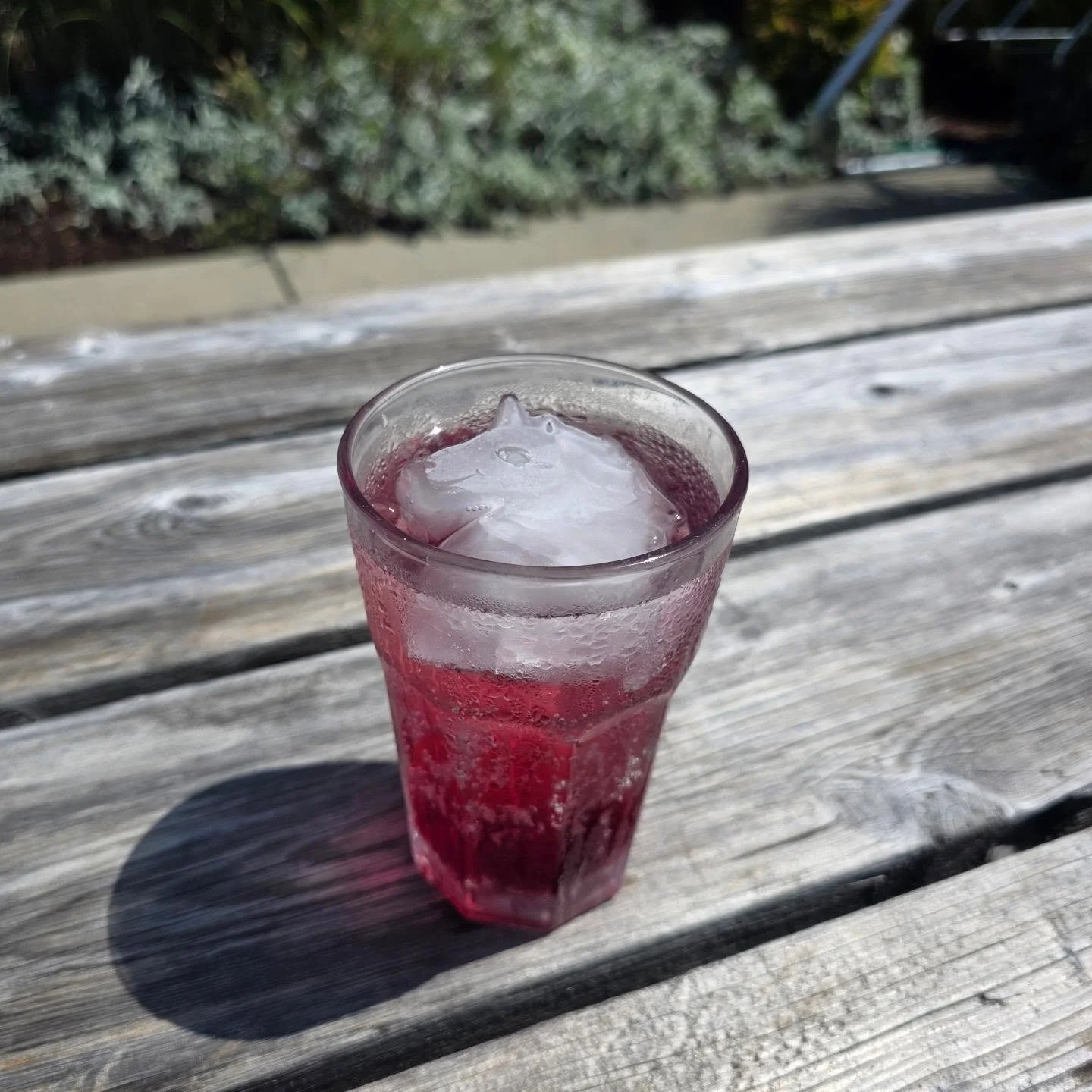 Have you seen the new kegerator at the bakery and wondered when's the beer coming? Well, it's not, but we are pouring soda water to make Italian Sodas with our house made syrups. Our current flavours are Blueberry, fig leaf(tastes like coconut), and 