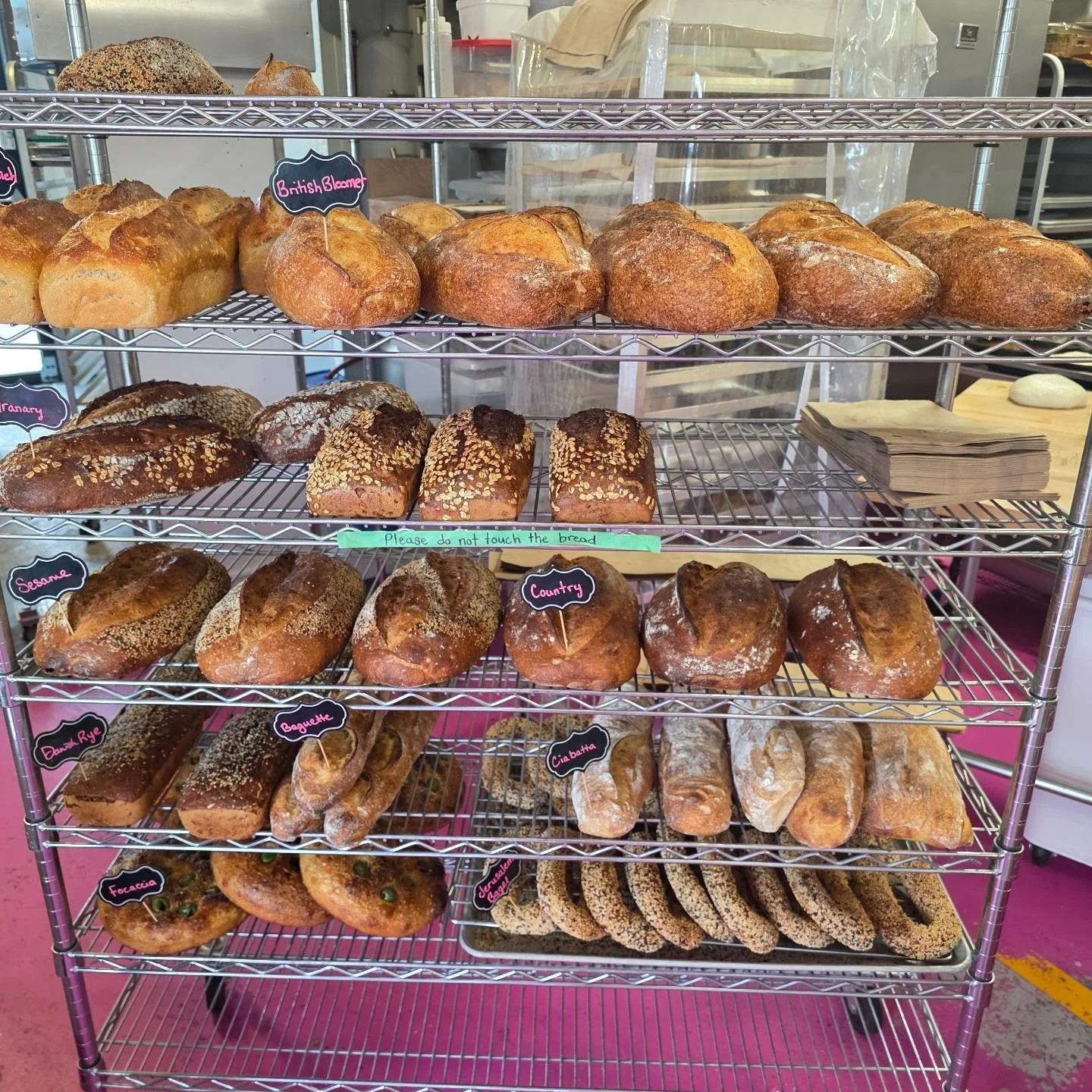 WE'RE BACK! and we've got all the good stuff.