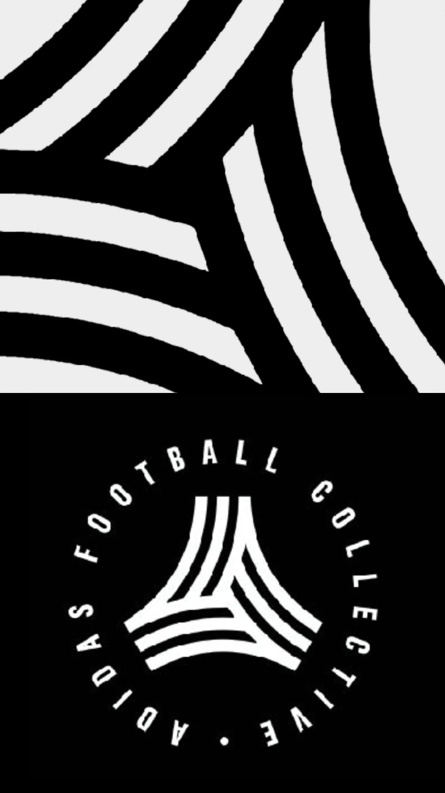 A black and white logo for the American Football College Association with a stylized football and curved lines in a circular design.