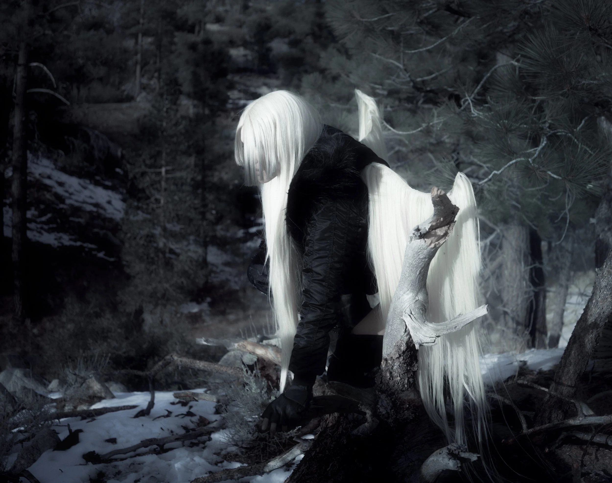 A person dressed as an elf with long white hair and a black outfit standing outdoors in a snowy forest, leaning on a fallen tree, with trees and snow in the background.