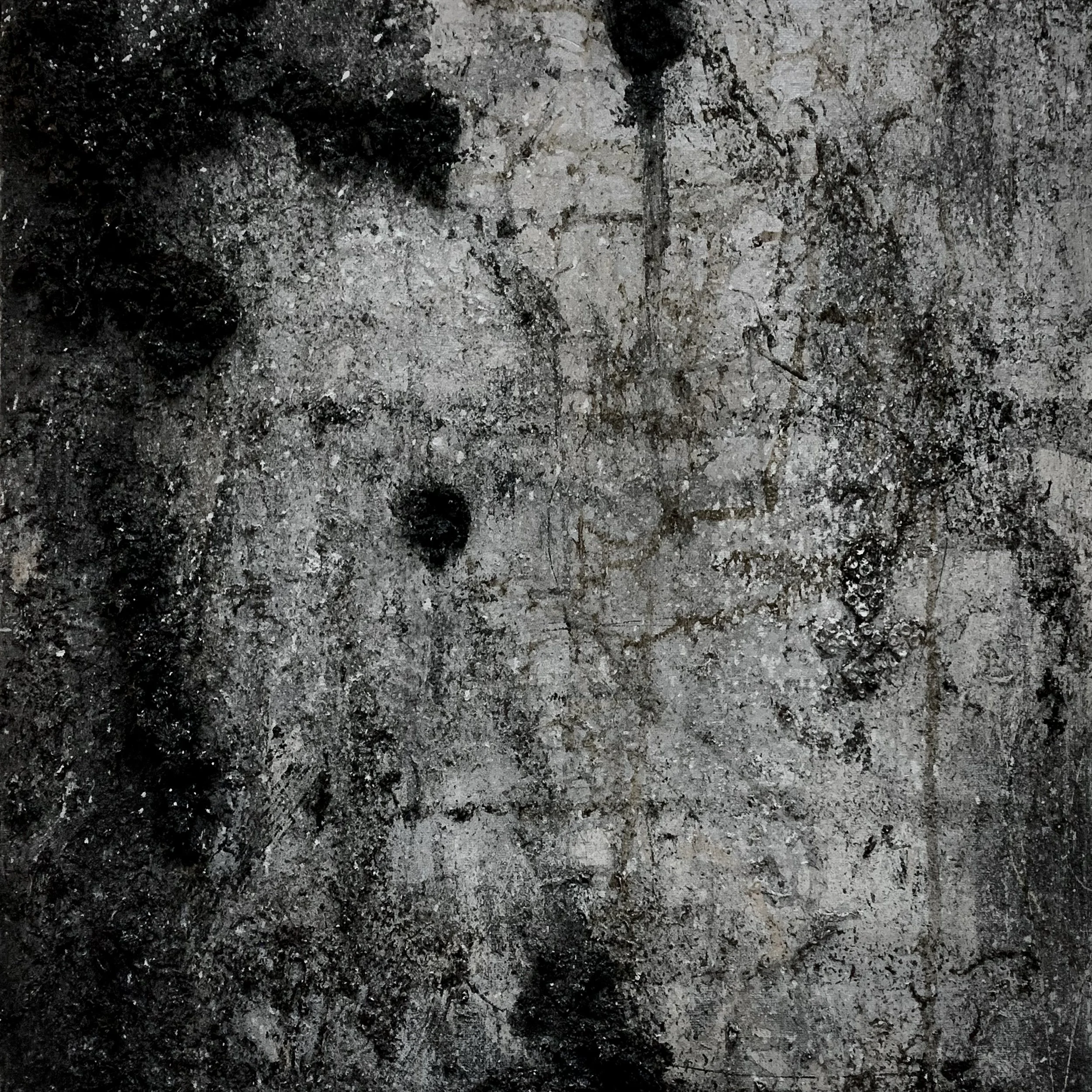 Close-up of a textured, grayish stone surface with some dark spots and markings.