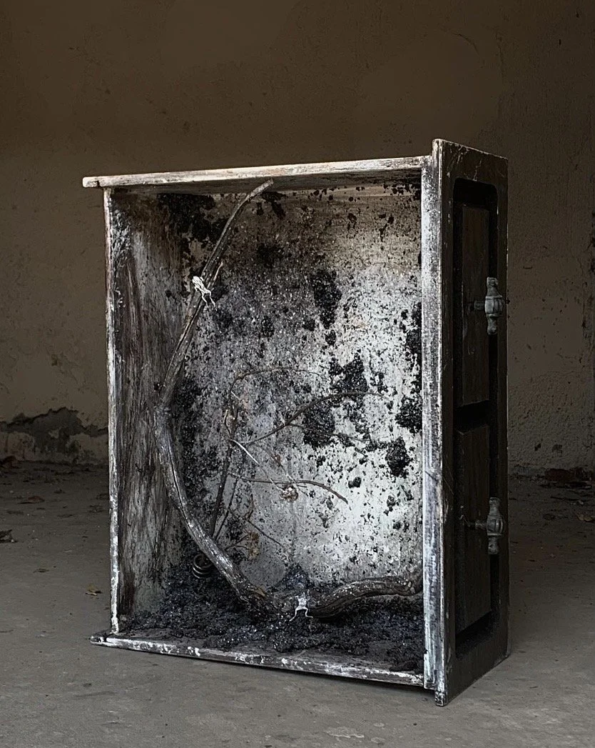 Abstract artwork that resembles a burnt terrarium with taxidermy dirt and charred wood in the interior.