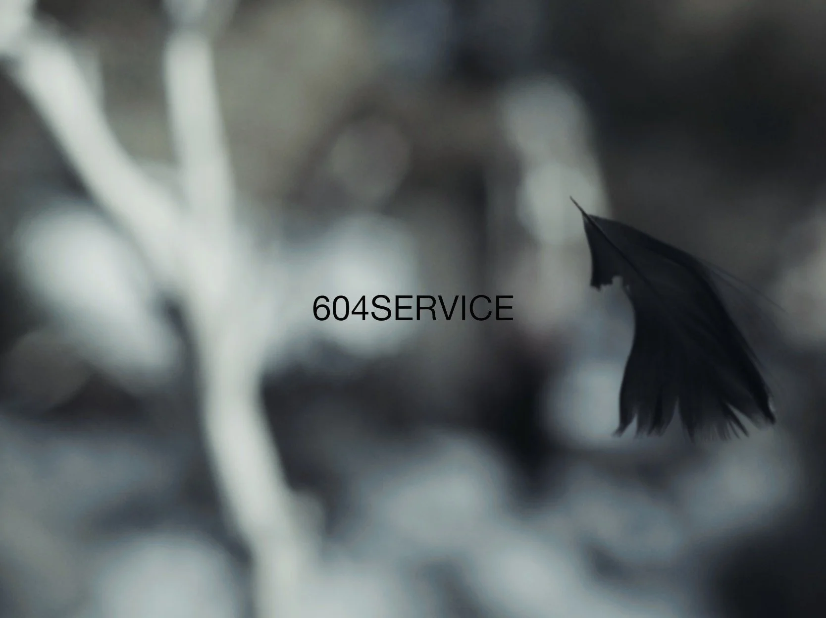 A blurred background with a dark leaf on the right side, with the text '604SERVICE' in the center.