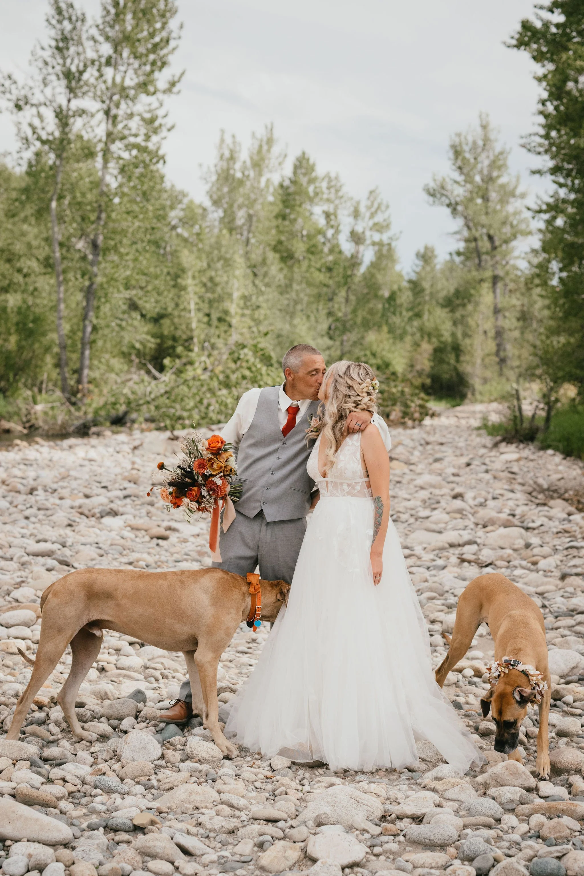 A bride and groom share a kiss outdoors with their two dogs, standing on a rocky riverbed surrounded by trees.