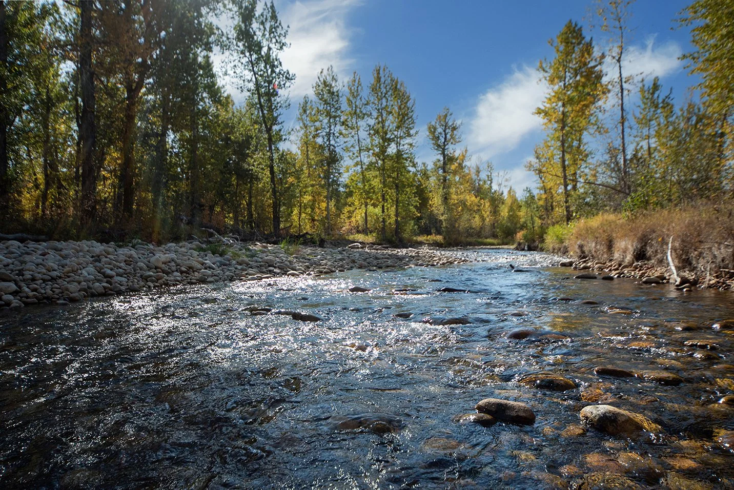 A clear, flowing river runs through a forest with tall trees, some showing fall colors, under a partly cloudy blue sky.