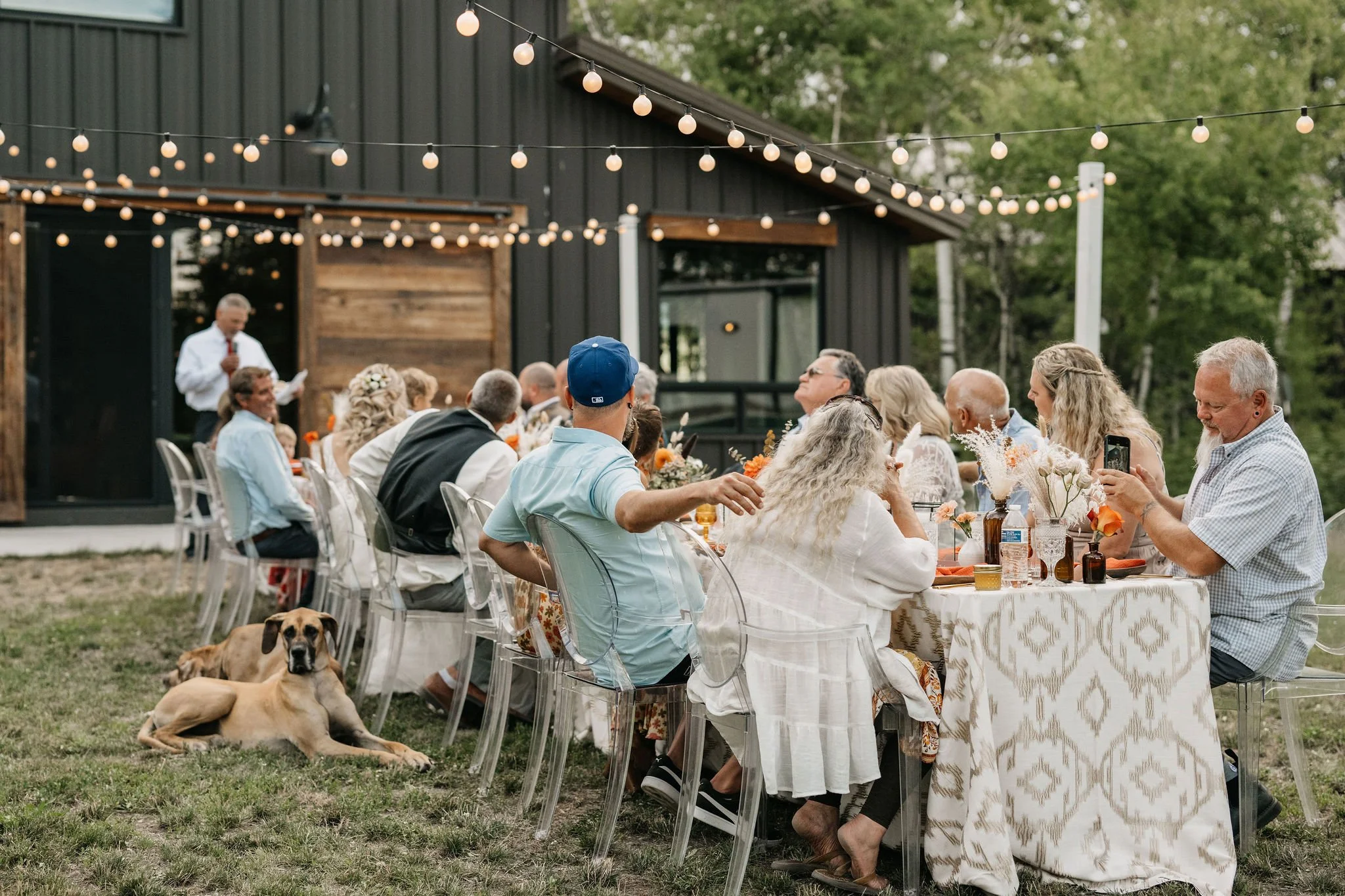 People gathered for an outdoor dinner with string lights overhead, seated at a long table with floral arrangements, a speaker addressing the group, and two dogs resting on the grass nearby.