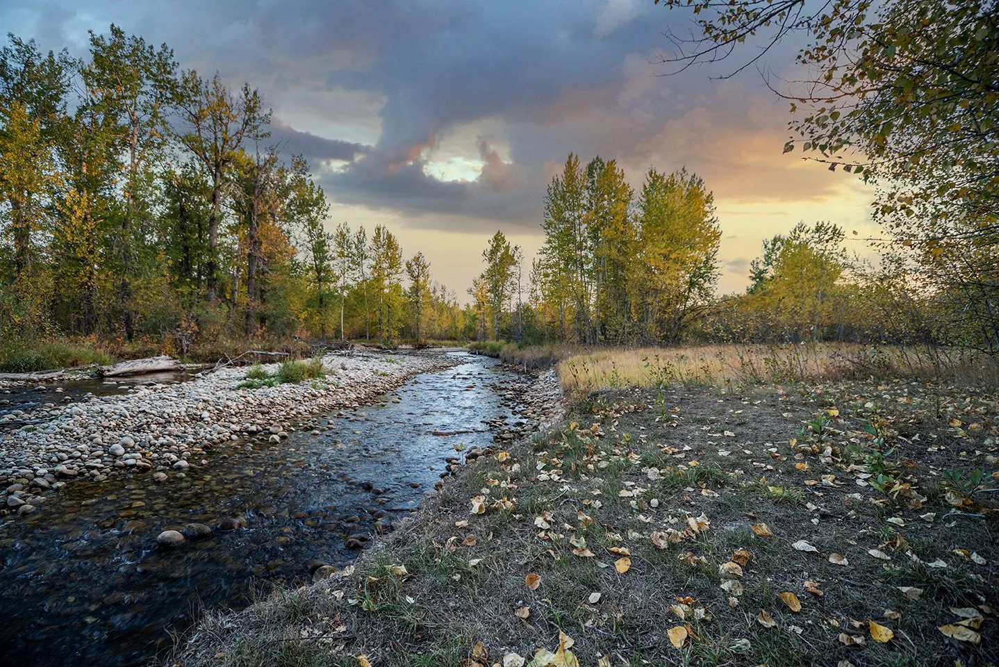 Scenic view of a small river flowing through a forest with trees showing autumn leaves during sunset.