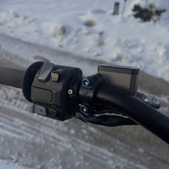 Moto/Ultra bee brake titanium