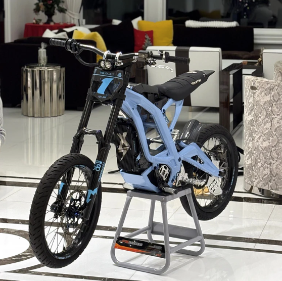 Surron lbx titanium bolt kit