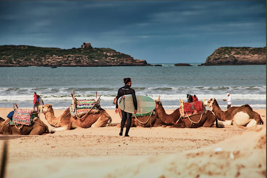 The Best Beaches in Morocco